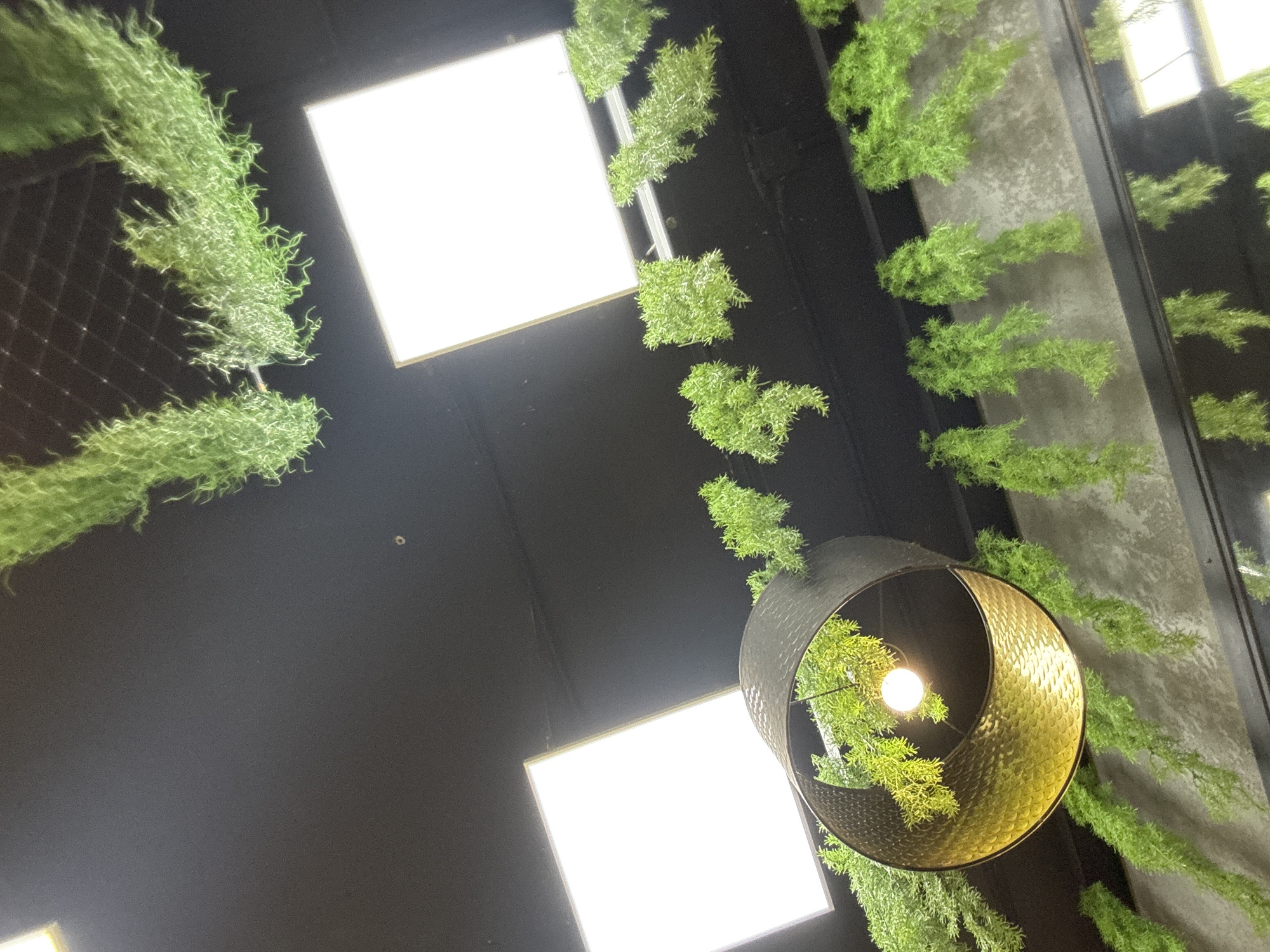 The image shows a view looking upwards in an interior space. Overhead, there are square fluorescent lights recessed into a black ceiling. Green, moss-like vegetation is draped and arranged around the lights and along a vertical, mirrored wall to the right. A round, ornate metal lamp with a lightbulb is suspended in the center. The location is Saint Petersburg, Russia.