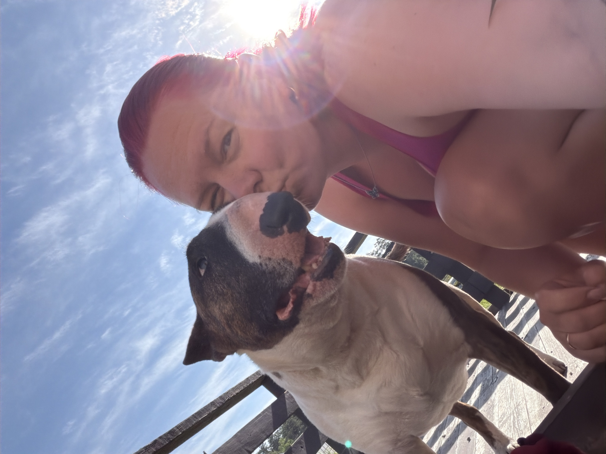 An upward-angled close-up shot captures a tender moment between a woman and a dog against a bright, sunny sky. The woman, positioned in the upper part of the frame, has reddish-pink hair and fair skin. She is wearing a pink top or swimsuit, and a delicate necklace with a small pendant is visible around her neck. Her eyes are partially visible, and her lips are pursed as she leans in, appearing to kiss the dog on its head or nose.
The dog, a Bull Terrier with distinctive brown and white markings, particularly on its face and body, is central to the image. Its black nose is prominent, and its mouth is slightly ajar, possibly in response to the affection or panting in the warm weather. The sunlight creates a bright lens flare near the woman's head, indicating a strong overhead light source.
The background consists of a clear blue sky dotted with wispy white clouds. A wooden railing or fence structure is visible behind the dog and partially behind the woman, suggesting an outdoor setting like a deck or balcony. Through the railing, distant green foliage and trees can be discerned, hinting at a natural environment. The overall mood is one of warmth, affection, and happiness, capturing a loving interaction between a pet owner and their dog on a bright, sunny day in Chaikovsky, Russia. No visible text is present in the image.