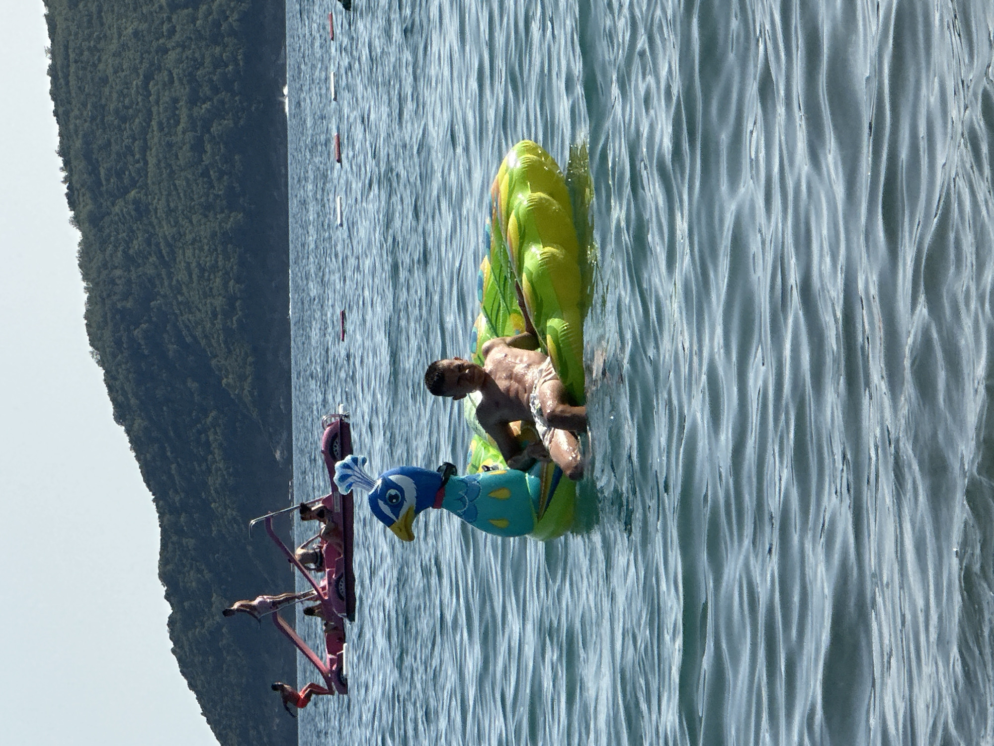 A man is floating on a green and yellow inflatable peacock float in the water. He is wearing light-colored swim trunks and is looking towards the camera. The peacock float has a blue and green head with a blue crest. In the background, a pink pedal boat with several people on it is visible, with a forested hill behind it. The water is calm with small ripples. The scene appears to be a beach or coastal area in Boreti, Montenegro, on a sunny day.