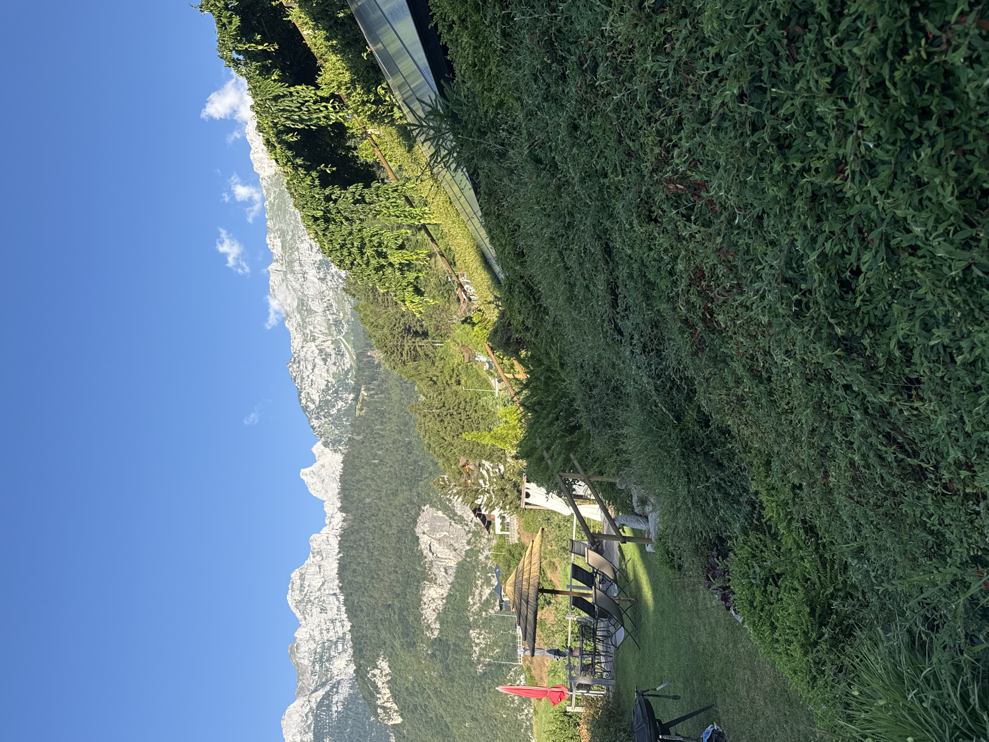 The image shows a lush green hillside in the city of Molveno, Italy, under a clear blue sky. The foreground is dominated by dense, low-lying green bushes that cover the sloping terrain. In the middle ground, to the left, is a grassy area with outdoor furniture, including a table with chairs, a straw-covered umbrella, and a red umbrella. A grill is visible on the far left. Beyond the furniture, a wooden fence separates this area from the hillside. Further back, houses and trees are nestled on the lower slopes of a large, majestic mountain range that fills the background. The mountains are rugged and rocky, with patches of green vegetation and trees. A thin trail of clouds is present above the mountain peaks. The scene suggests a tranquil outdoor setting, likely a residential area or a tourist accommodation, with the stunning natural backdrop of the Italian Alps.
