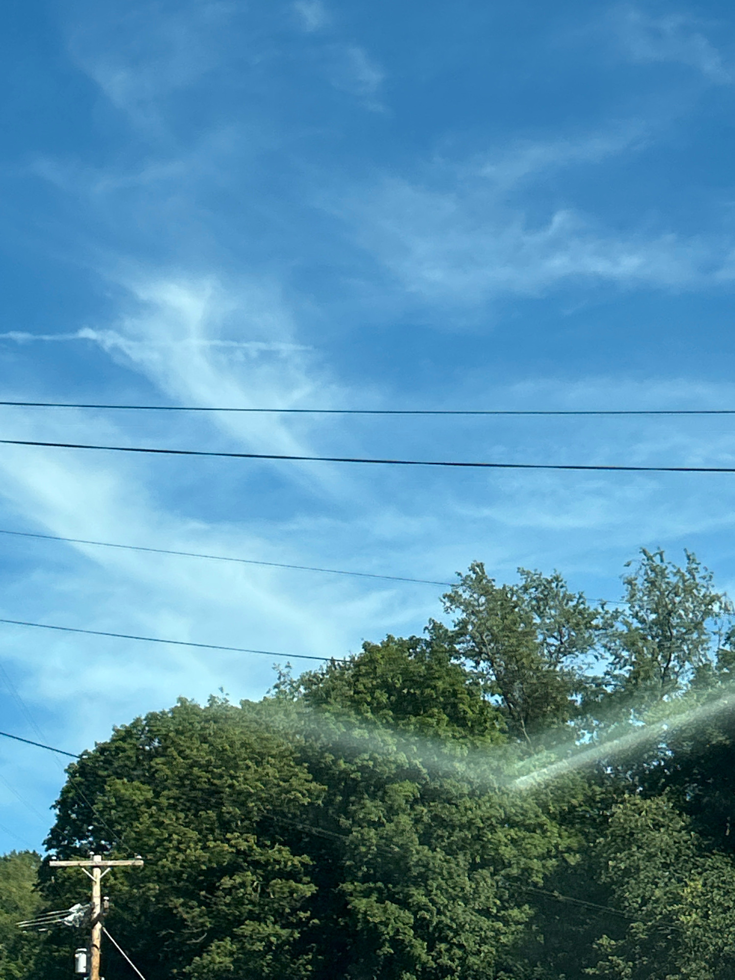 The image shows a bright blue sky with wispy white clouds. Several dark power lines are strung horizontally across the frame. Below the power lines, the tops of lush green trees are visible, suggesting a natural or semi-natural setting. On the left side of the image, a wooden utility pole with some attached equipment stands out against the trees and sky. A faint rainbow or light flare effect is visible across the right side of the tree canopy. The image is taken outdoors, likely during the daytime, and does not contain any people or explicit indicators of its specific location within Pittsburgh, United States of America.