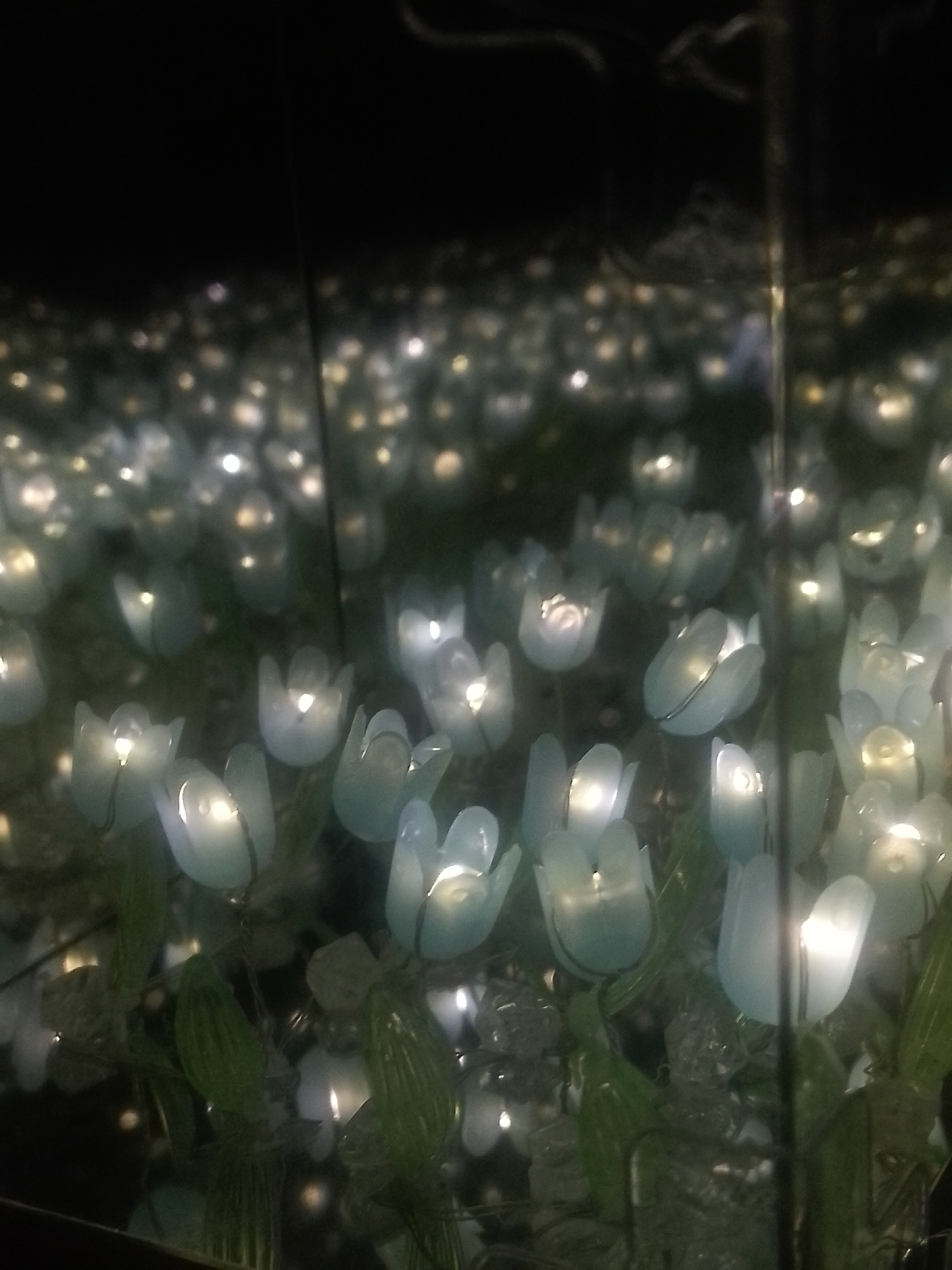 The image depicts a dark, indoor scene with numerous illuminated floral-shaped objects arranged densely. The objects appear to be light fixtures designed in the shape of tulips, with a pale blue tint to the petals and a bright light source within each flower. The lighting is dim overall, with the flowers providing the main source of illumination. The density of the floral lights decreases with distance, suggesting a large installation or field of these illuminated objects. Green stems are observed on some of the flowers, giving the impression of an artificial garden. The setting is potentially located in Davao City, Philippines, but the image provides no explicit evidence to confirm this location. No people or specific actions are visible.