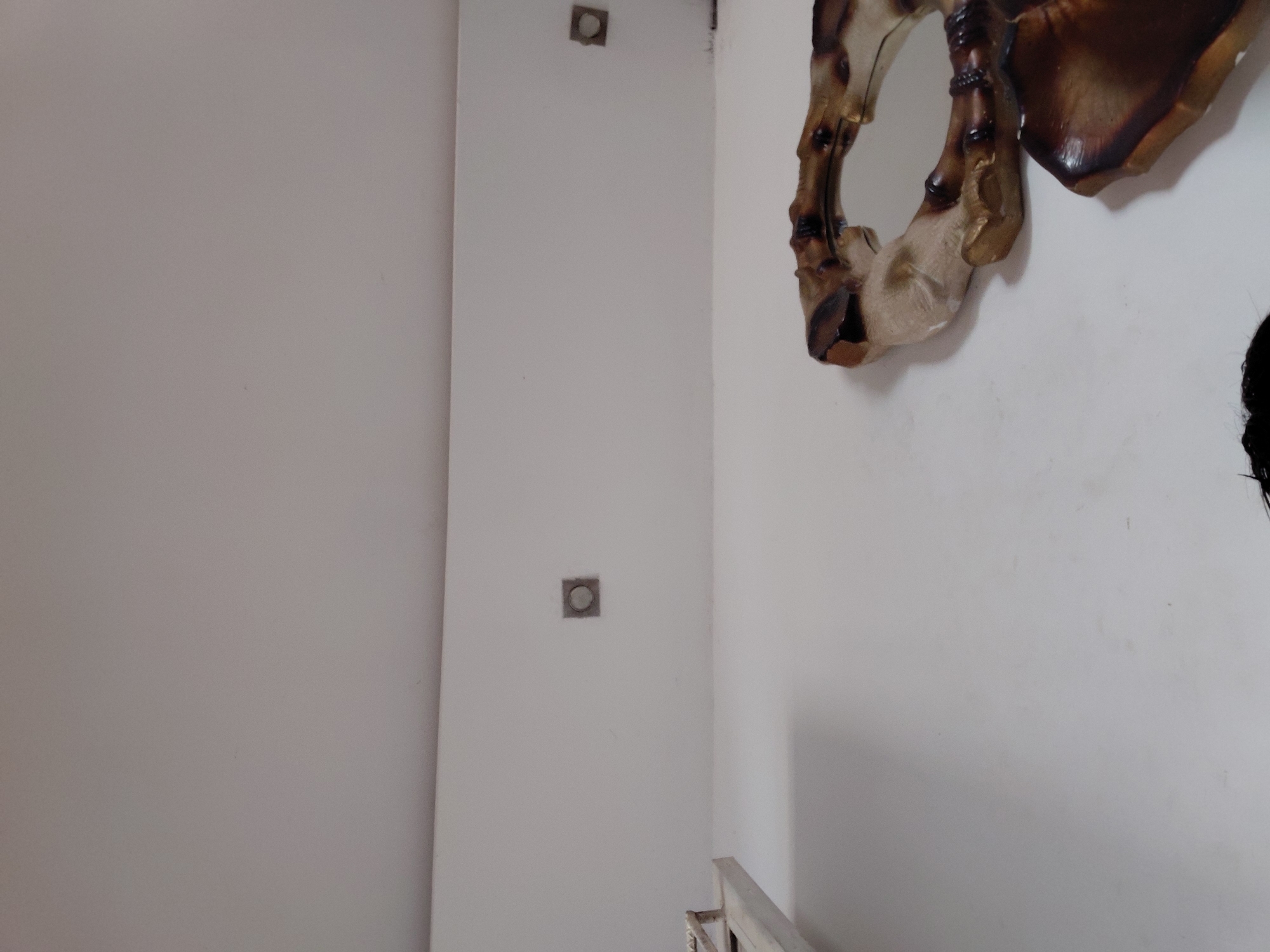 The image captures an indoor scene, likely a hallway or transition area, characterized by light-colored walls and contemporary decor. On the left, a plain, off-white wall extends across a significant portion of the frame. Separating this from the right side is a narrow, vertical white panel or structural element. Two square-shaped recessed fixtures, each containing a circular component, are visible on this panel; one is positioned high up, and the other mid-level.
To the right, another white wall serves as a backdrop for a distinctive decorative element. A large, irregularly shaped mirror or wall art piece is partially visible, featuring a thick, sculpted, organic frame. This frame, with its dark, burnished brown and gold accents, resembles polished wood, bone, or root formations, giving it a natural, artistic aesthetic. A dark, reflective surface (presumably the mirror) can be seen behind parts of the frame. At the bottom right corner, a small section of a light-colored railing or banister is visible, further suggesting a hallway or stairwell.
The scene is static, with no discernible human activity or event. The lighting is soft and even, suggesting either diffused natural light during the day or ambient artificial lighting. No text is visible in the image. The setting appears to be a clean, modern interior in Santa Ana, Venezuela.