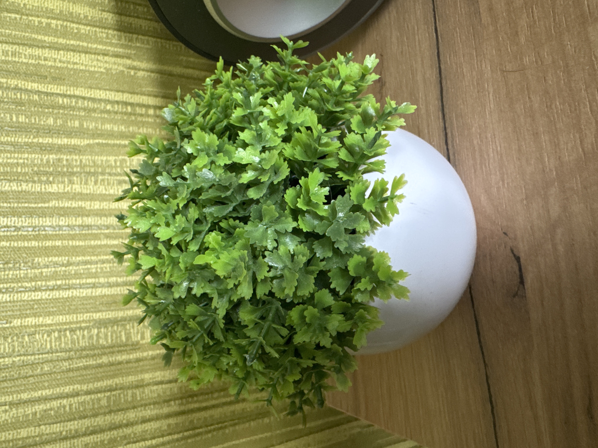 A high-angle shot shows a small, artificial green plant in a white, spherical pot. The plant is positioned on a surface that has two distinct textures: one side features a green, textured, possibly fabric or wallpaper material, while the other side is a light-brown wood grain. Part of a dark object, possibly a lamp or speaker, is visible at the top of the frame, touching the green textured surface. The image is well-lit and in focus.
There is no information about the city of Chaikovsky, Russia, or any people, actions, or interactions present in this image.