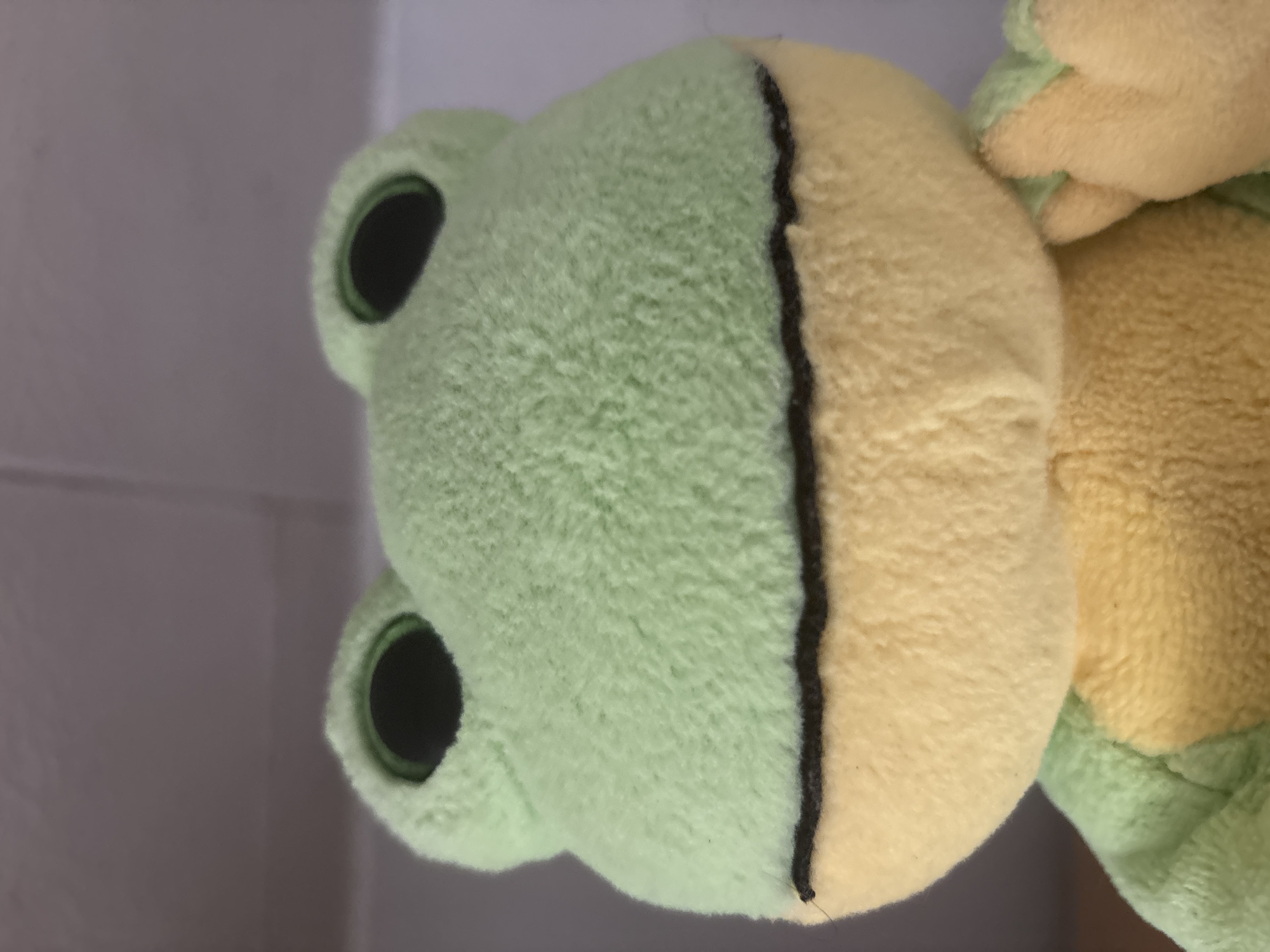 A close-up, head-on shot shows a light green plush frog toy with a yellow belly and mouth area. The frog has two large, black, circular eyes with green irises. Its mouth is a black stitched line. The background is a neutral, light-colored wall. The image is in focus, and the lighting is even. The location is unknown.