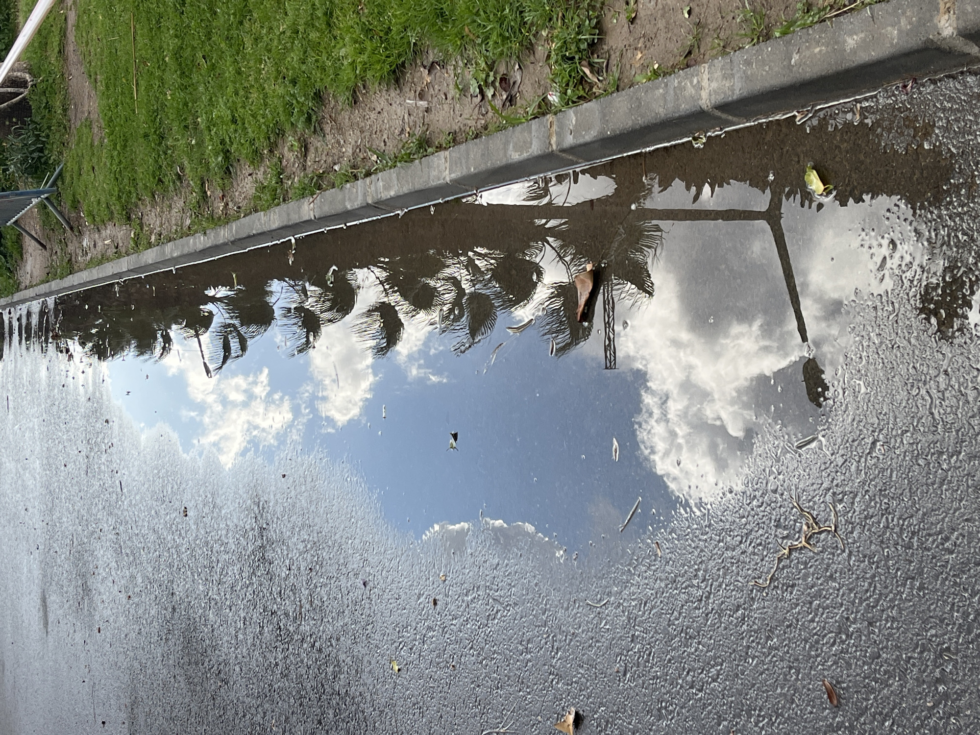 The image shows a puddle reflecting the sky and surrounding objects on a paved surface. The puddle has a clear reflection of clouds and a blue sky. The reflection also shows trees, and a lamppost in the water. The edge of the paved surface is bordered by a concrete curb with grass and soil beyond. The location is Alanya, Turkey.