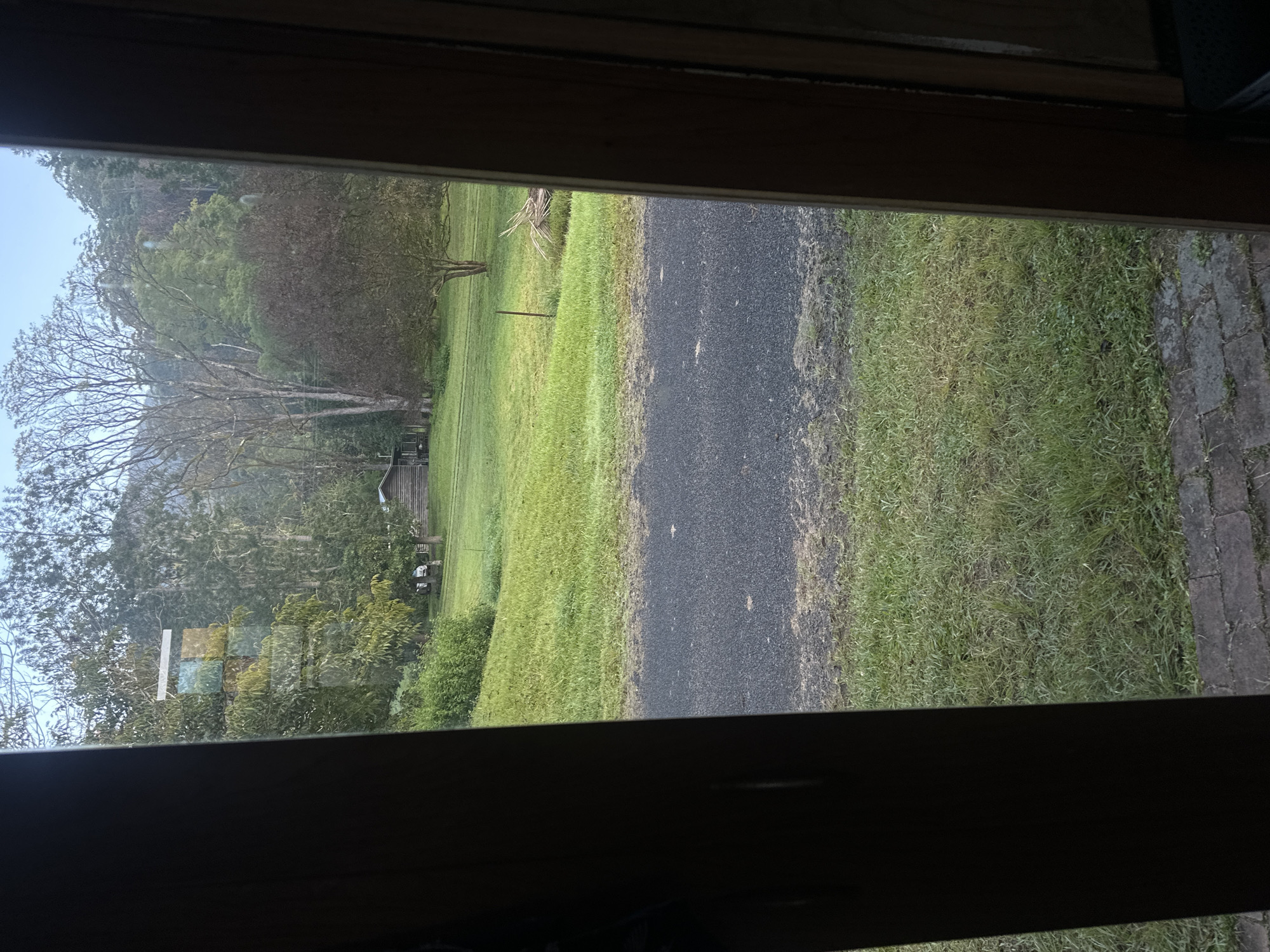 The image is a view from inside a building looking out through a doorway at a rural landscape. The foreground shows the dark wood of the doorway and frame. Beyond that, a paved surface, likely a road or driveway, is visible, with patches of green grass on either side. The middle ground features a lush green lawn with a few scattered trees and a small, rustic wooden structure that appears to be a shed or cabin. In the background, a dense forest covers rolling hills under a bright, overcast sky. The overall scene suggests a peaceful, natural setting, possibly in a remote area. There are no people or animals visible in the image. The location is specified as Thora, Australia.