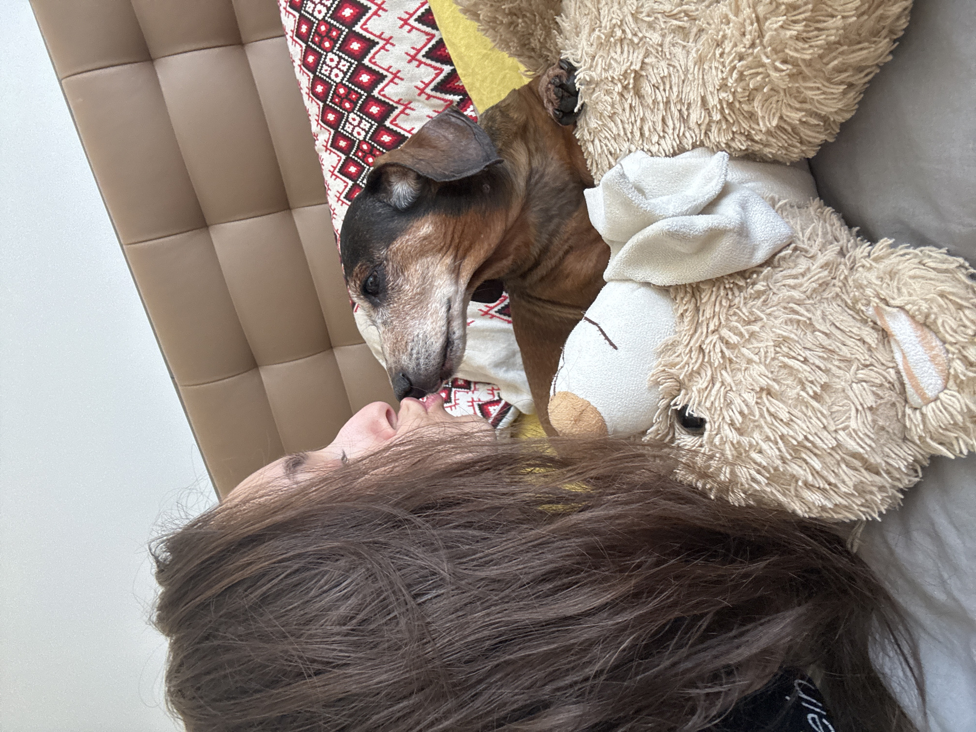 A woman with long brown hair lies on a bed with a tan leather headboard, resting her head on a white pillow. A brown and black dog lies to her right, its nose near her face. A stuffed sheep toy lies on top of the woman’s hair. The bed is covered with a white sheet and a pillow with a red and white patterned cover. The photo appears to be taken indoors. There is no information available from the image to determine the location in Sofia, Bulgaria.