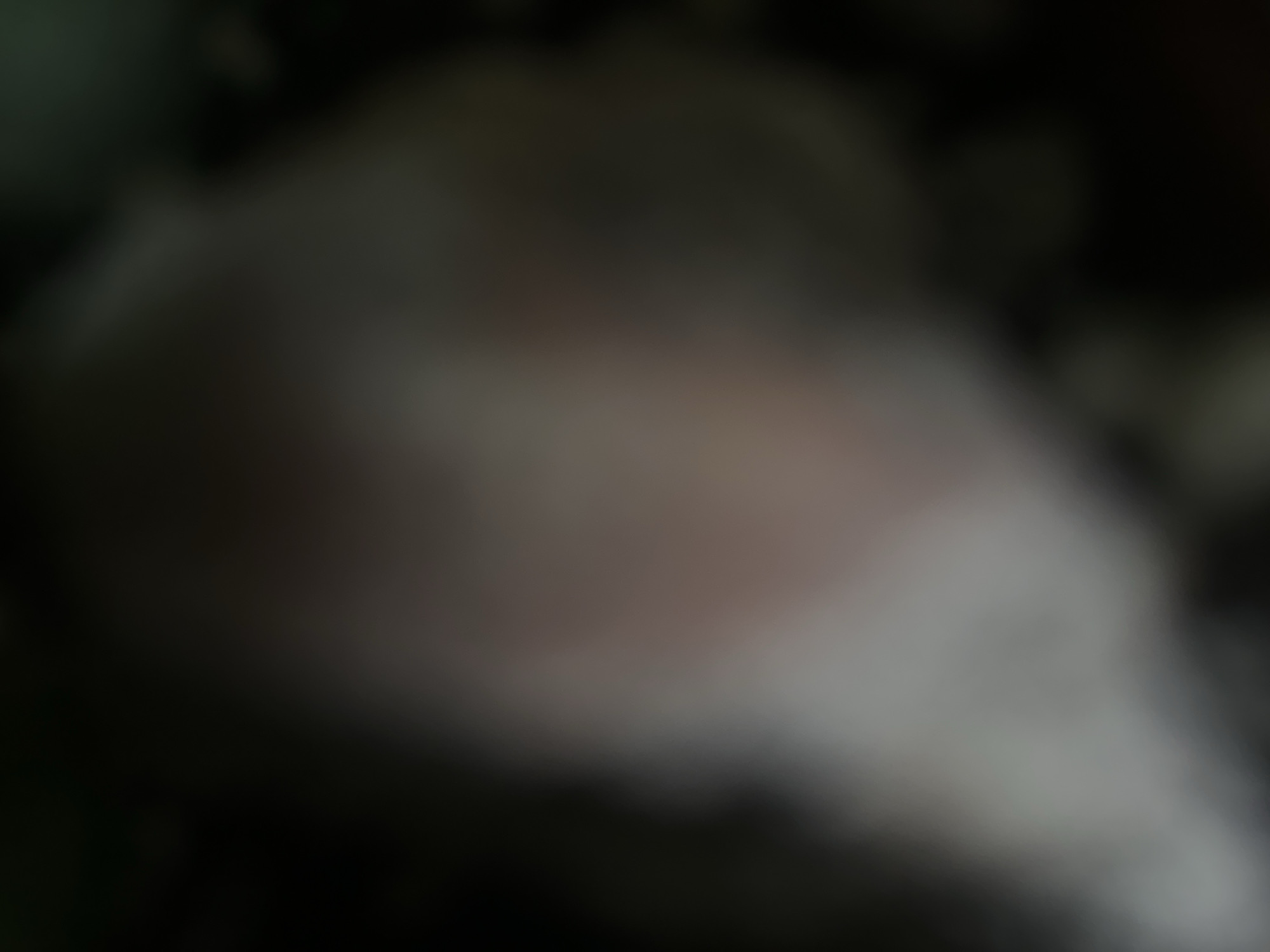 The image is a close-up, out-of-focus view of what appears to be a light-colored object with a pinkish hue against a dark background. The object is elongated and rounded, suggesting it could be a piece of food, a vegetable, or a smooth rock. The lighting is dim, creating strong shadows and obscuring fine details. The overall impression is abstract due to the blurriness, making it difficult to ascertain the exact nature of the subject or its surroundings. There is no discernible text or specific environmental context visible within the frame. The scene evokes a sense of mystery or hiddenness due to the lack of clarity and detail.