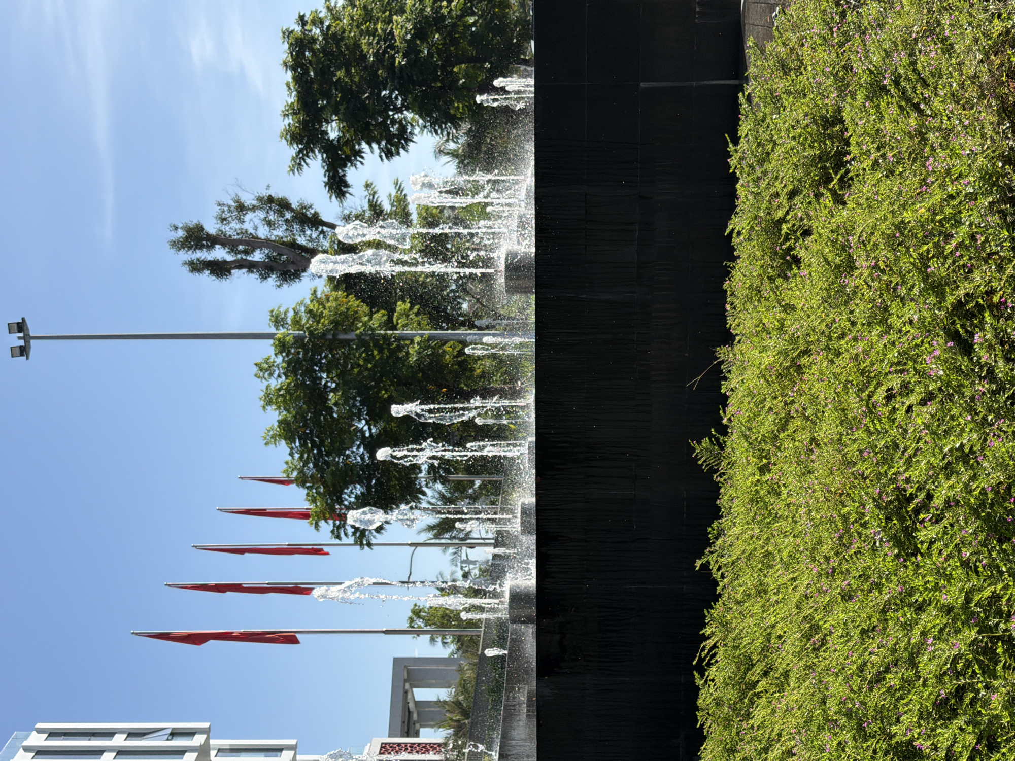 The image captures a public area in Nha Trang, Vietnam, featuring a modern architectural building on the left, several red flags on flagpoles, and a water fountain in the foreground. The building, with its white facade and glass windows, suggests a contemporary office or public institution. The red flags are prominent against the clear blue sky, indicating a national or governmental presence.
The water fountain is a central element, with multiple jets of water rising and cascading over a dark, tiled wall. The water spray creates a dynamic visual, catching the sunlight. In front of the fountain, a dense, green bush with small pink flowers covers the ground, adding a touch of nature to the urban landscape. The overall scene depicts a well-maintained public space, likely a plaza or a park area within the city.