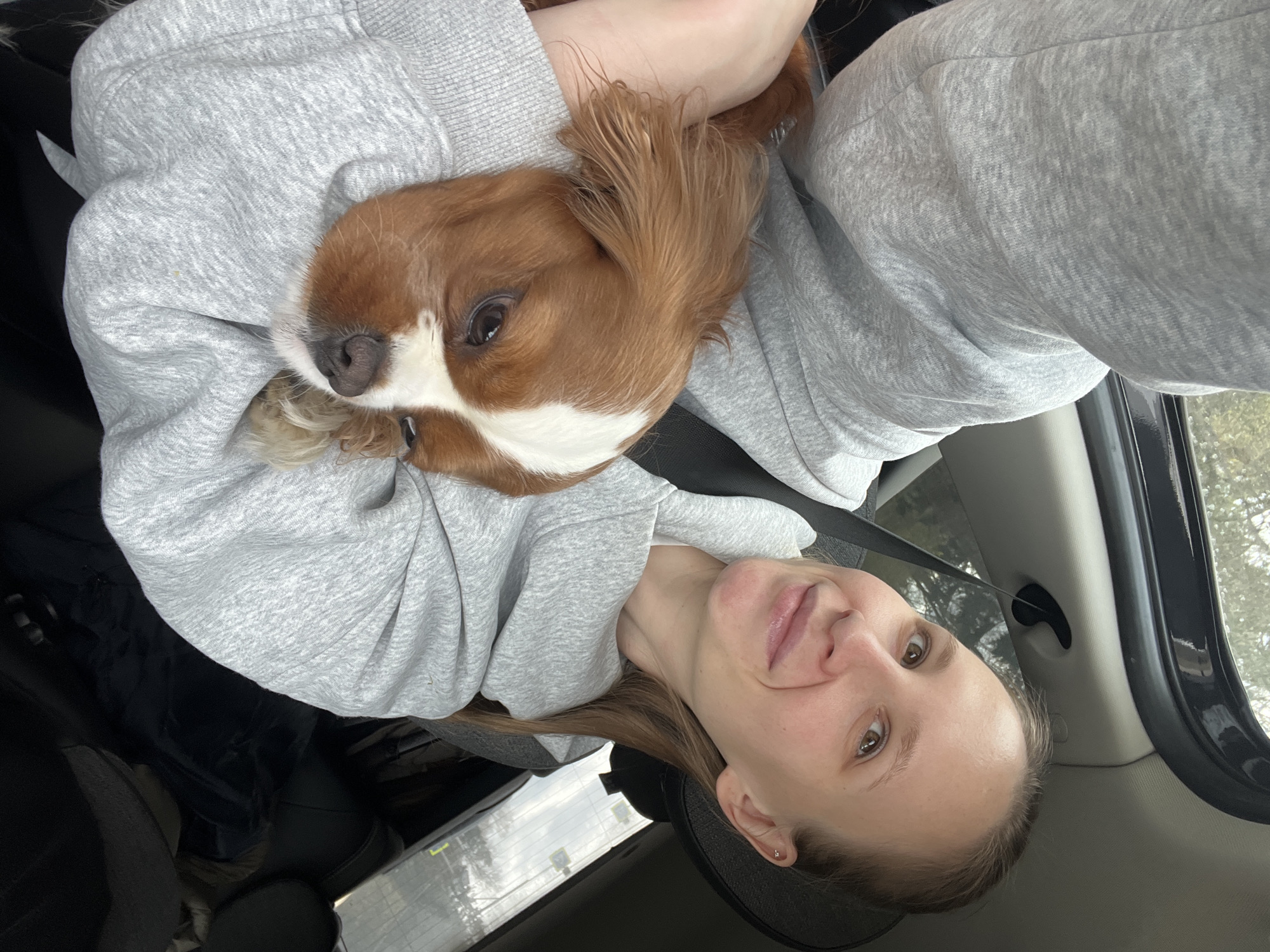 A selfie taken from inside a car shows a fair-skinned woman with light brown hair. She wears a gray hooded sweatshirt, and a tan and white Cavalier King Charles Spaniel rests in her arms. A seatbelt is visible across her body. The car interior is black. The background outside the car window shows trees, suggesting a rural or suburban setting. The image does not provide information about the city of Nagornoe, Russia.