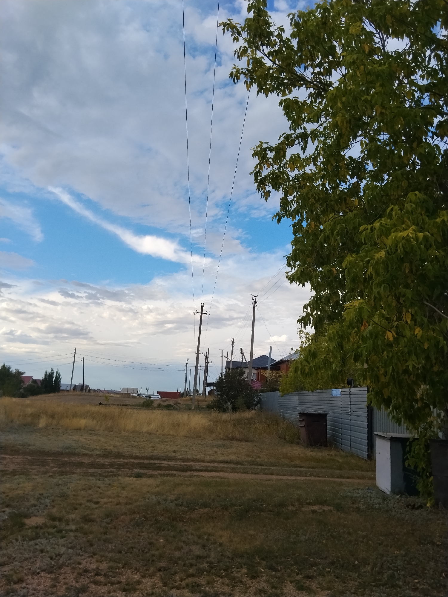 The image depicts a street scene in Kokshetau, Kazakhstan, on a cloudy day. In the foreground, dry, golden grass covers the ground, with a dirt road winding through it. A large tree with green leaves, some showing hints of yellow, dominates the right side of the frame, obscuring part of the sky and surrounding area.
In the mid-ground, a line of utility poles with wires stretches across the scene, indicating the presence of electrical infrastructure. Beyond the poles, houses with various roof types are visible, suggesting a residential area. A metal fence runs horizontally across the mid-ground, separating the grassy area from the houses. There are two storage units visible against the fence; one is dark brown and cylindrical, while the other is a lighter color and rectangular.
The background shows a vast, open sky with large, white clouds interspersed with patches of blue. The overall impression is of a rural or suburban setting with a sense of open space. There are no people visible in the image. The scene appears to be captured during daylight hours.
