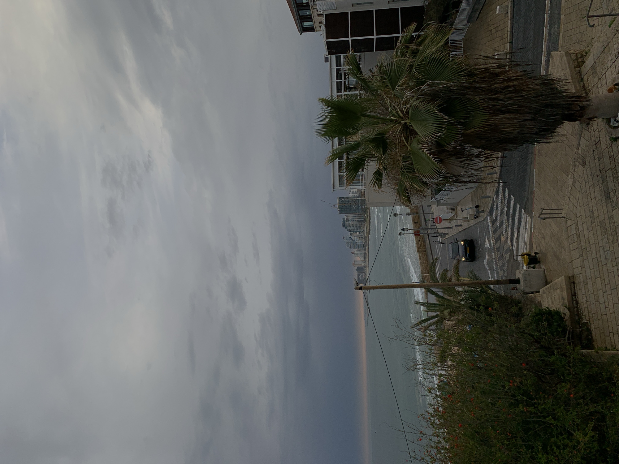 The image depicts a coastal scene in Tel Aviv, Israel, on a cloudy day. The perspective is from an elevated position, looking down onto a street, a beach, and the Mediterranean Sea. The skyline of Tel Aviv is visible in the distance. A palm tree is prominently featured on the right side of the frame, adjacent to a paved sidewalk. A black car is visible on the street, near a crosswalk. A bush with red flowers is visible in the lower right corner.