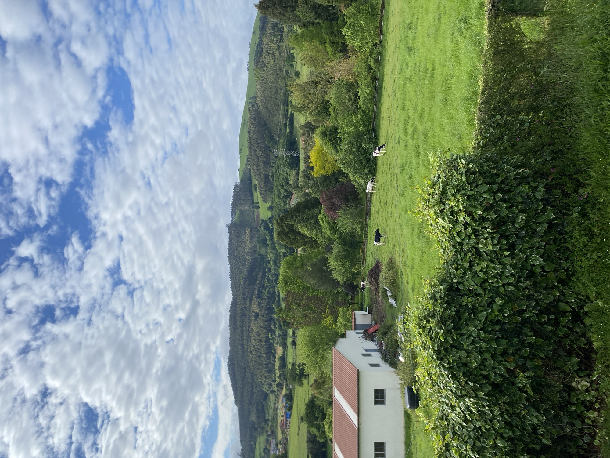 The image depicts a rural scene in Villaviciosa, Spain. In the foreground is a two-story white building with a red-tiled roof. Adjacent to the building is dense greenery. A lush green field extends beyond the building, where cows are grazing. In the background, a forested hill rises against a cloudy sky. Utility poles and wires are visible on the hillside. The image is rotated.
