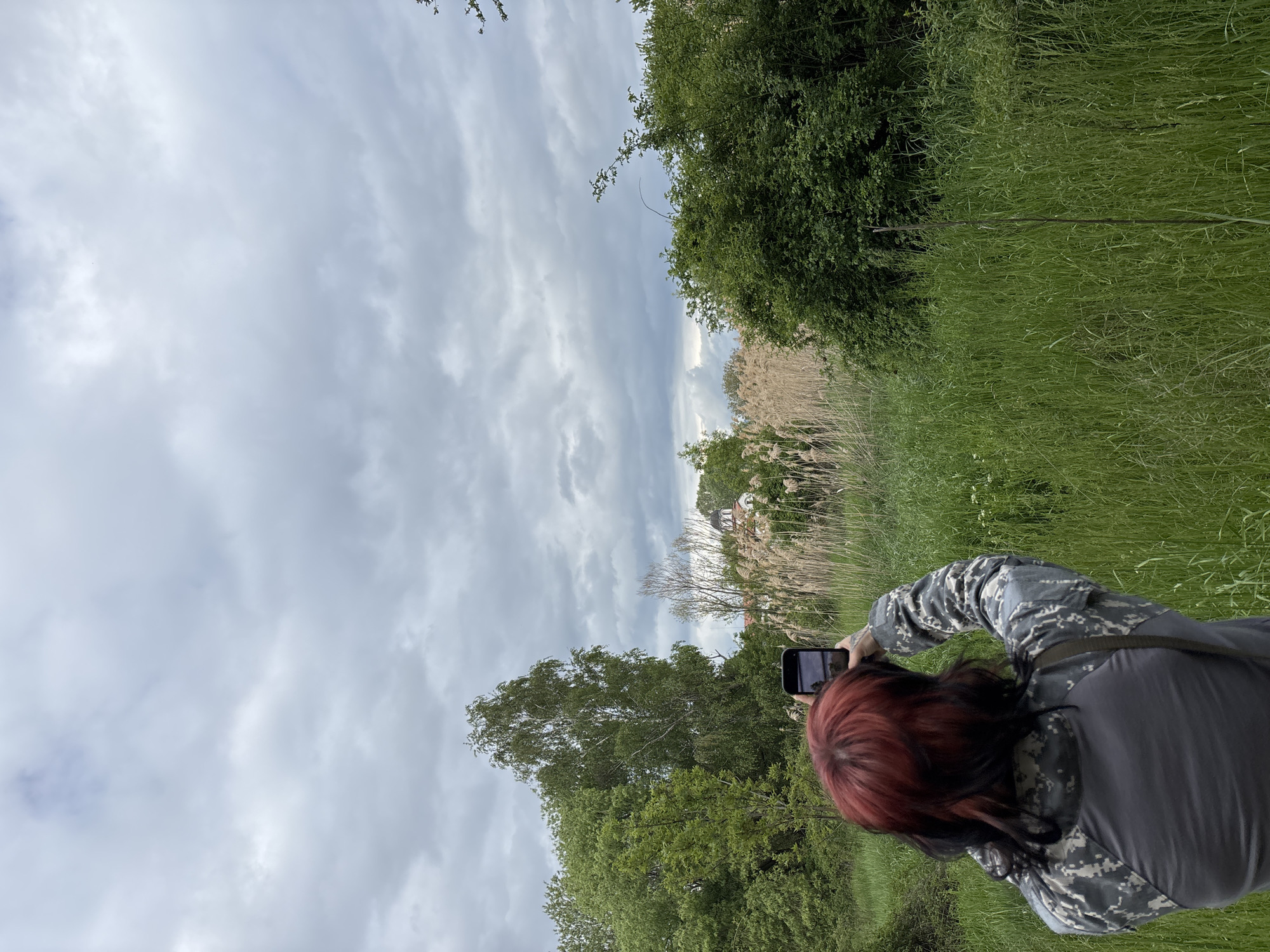 A person with red and black hair and wearing a gray camouflage patterned jacket is holding a smartphone and taking a photograph in a field of tall grass and trees. The sky is overcast with gray clouds. In the background, there are reeds and a house is partially visible. The location is possibly in Sofia, Bulgaria.
