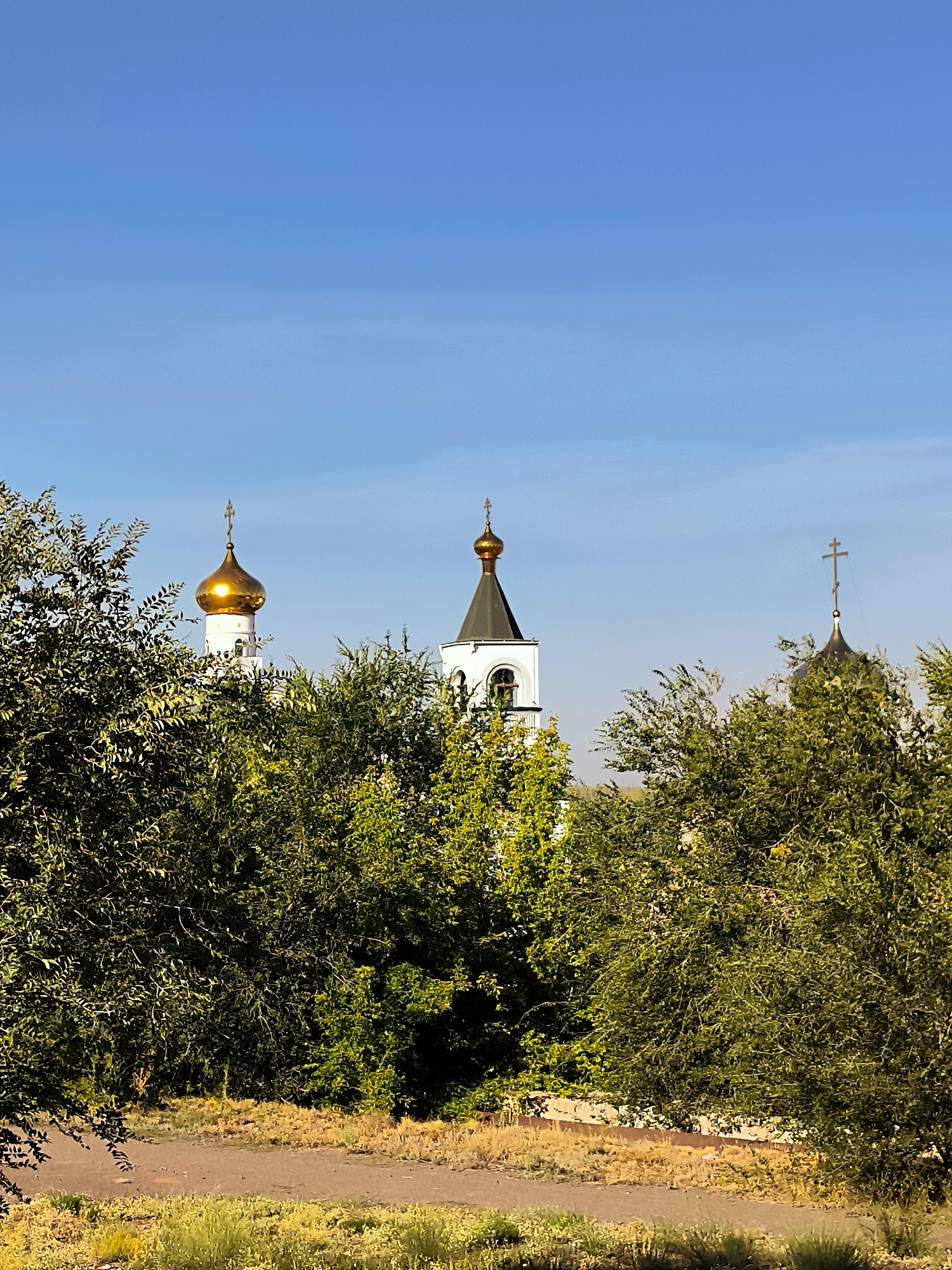 A photograph taken on a sunny day shows a clear blue sky above a row of trees. Partially visible through the lush green foliage are the white spires and golden domes of several Orthodox churches. A dirt path runs horizontally across the foreground, bordered by dry grass.