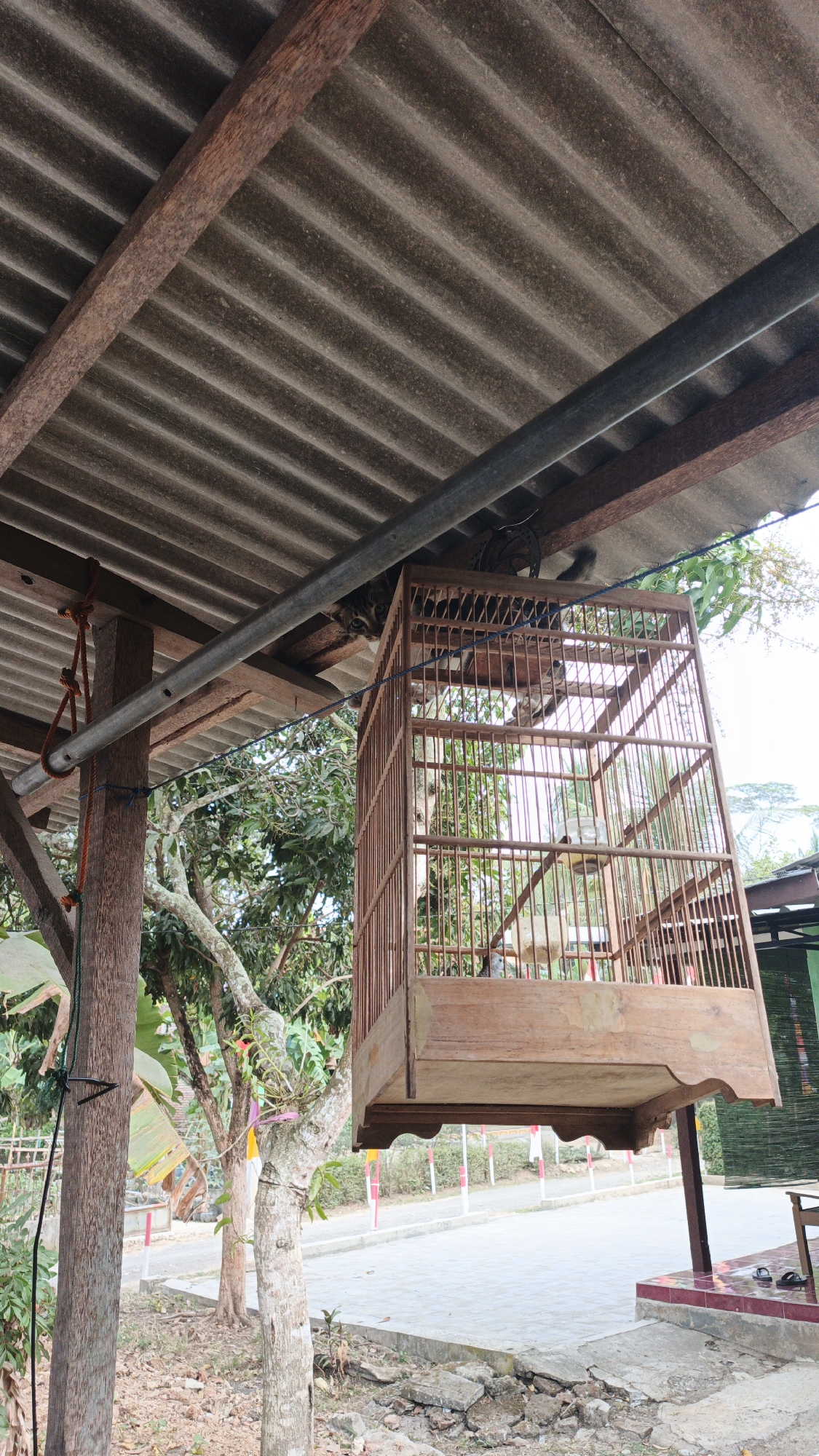 The image depicts a birdcage hanging from a rustic, open-air structure. The cage, made of light brown wood with thin vertical bars, is suspended from a metal pipe running beneath a corrugated roof. A wooden post, tied with orange and green rope, supports the roof and the pipe. Inside the cage, there appears to be a bird or birds, though they are not clearly discernible. Beyond the cage, a paved area is visible, bordered by a low fence with red and white posts, suggesting an outdoor setting, possibly a yard or public space. Trees with lush green foliage surround the area, indicating a rural or semi-rural environment. The overall impression is one of a simple, functional setup, likely in a tropical climate given the greenery. The specific location in Gunungreja, Indonesia, is not visually confirmed by the image itself but is provided as context.