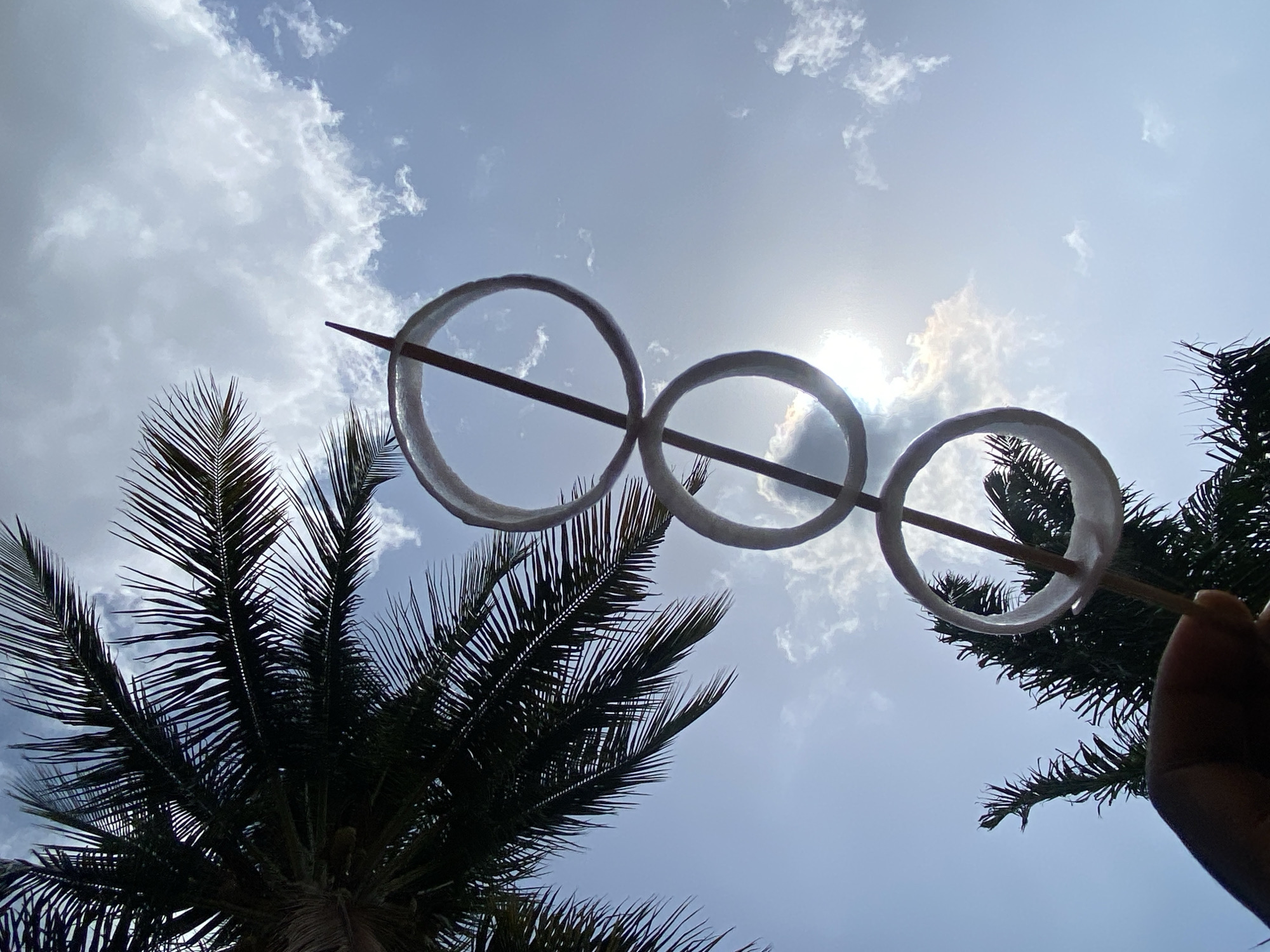 A low-angle shot captures an outdoor scene in Maigizo, Nigeria, looking up towards a bright sky with scattered white clouds. The sun is intensely bright in the upper right quadrant, creating a strong lens flare and backlighting effect. Dark green palm tree fronds are silhouetted against the sky on both the left and right sides of the frame, suggesting a warm, tropical environment.
The main subjects are three light-colored, somewhat translucent rings, likely made from a vegetable like an onion, threaded onto a slender, dark wooden stick or skewer. These rings are held horizontally across the middle of the frame by a partially visible hand on the far right. The rings vary slightly in size, with the largest on the left and the smallest on the right. Their edges appear slightly uneven and textured.
The activity involves a person holding these rings on a stick up against the sky, possibly for a creative photograph or as a playful interaction with the natural light and surroundings. The image conveys a sense of clear, sunny daytime weather, with the clouds adding texture to the blue sky. No visible text is present in the image.