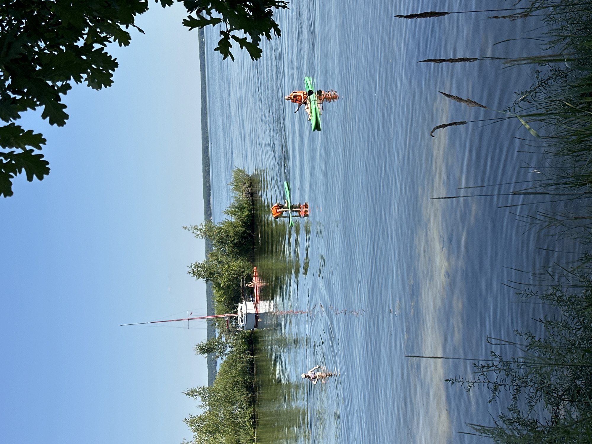 A bright, sunny day at a large body of water, possibly a river or lake, in the city of Lipetsk, Russia. The water is calm with gentle ripples reflecting the blue sky. In the foreground, tall green grass and reeds grow along the shoreline. In the mid-ground, a white sailboat with a red mast is anchored near a small, wooded island. There are several people in the water and on paddleboards. On the left, a person in a swimsuit is wading in the water. Further out, two people are paddleboarding. One person is kneeling on a green paddleboard, while another is seated and paddling on a green paddleboard, both wearing orange life vests. In the background, the opposite shore is lined with trees and vegetation. The sky is a clear, bright blue with no clouds visible. The overall scene depicts a recreational water activity on a pleasant summer day.