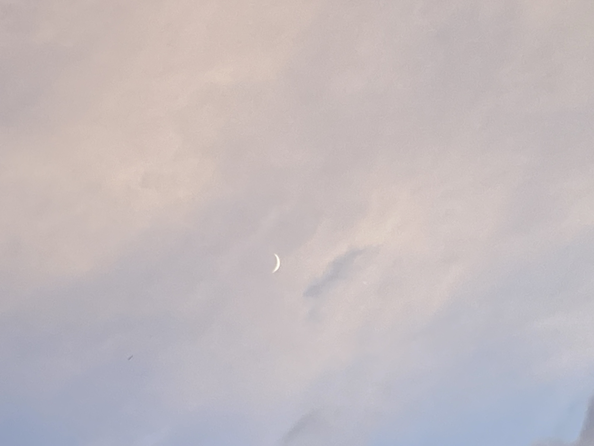 The image shows a crescent moon in a hazy, pastel-colored sky, likely during twilight. The sky transitions from a pale blue at the bottom to a soft pink at the top. Wispy clouds are present, with some darker, more defined cloud formations visible. There is a faint, dark speck in the upper left quadrant that could be a distant bird or insect. The scene is serene and atmospheric, devoid of any discernible human activity or specific landmarks. There is no information to suggest the location is in Unwana, Nigeria.