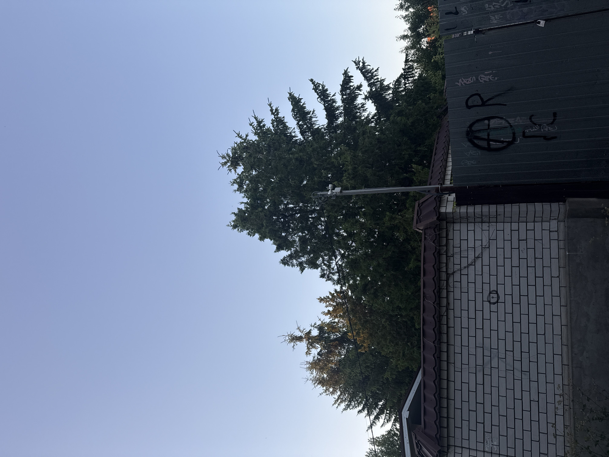 This is a full-frame, eye-level, outdoor, daylight photograph taken in Dnipro, Ukraine. The image captures a section of a brick wall topped with a brown, corrugated roof, leading to a dark metal gate. The gate is adorned with graffiti, including a circled "A" symbol, the letter "R", and other illegible markings. Behind the wall and gate, several large evergreen trees are visible against a clear, pale blue sky. A grey metal pole with a security camera attached is situated in front of the trees, to the left of the metal gate.