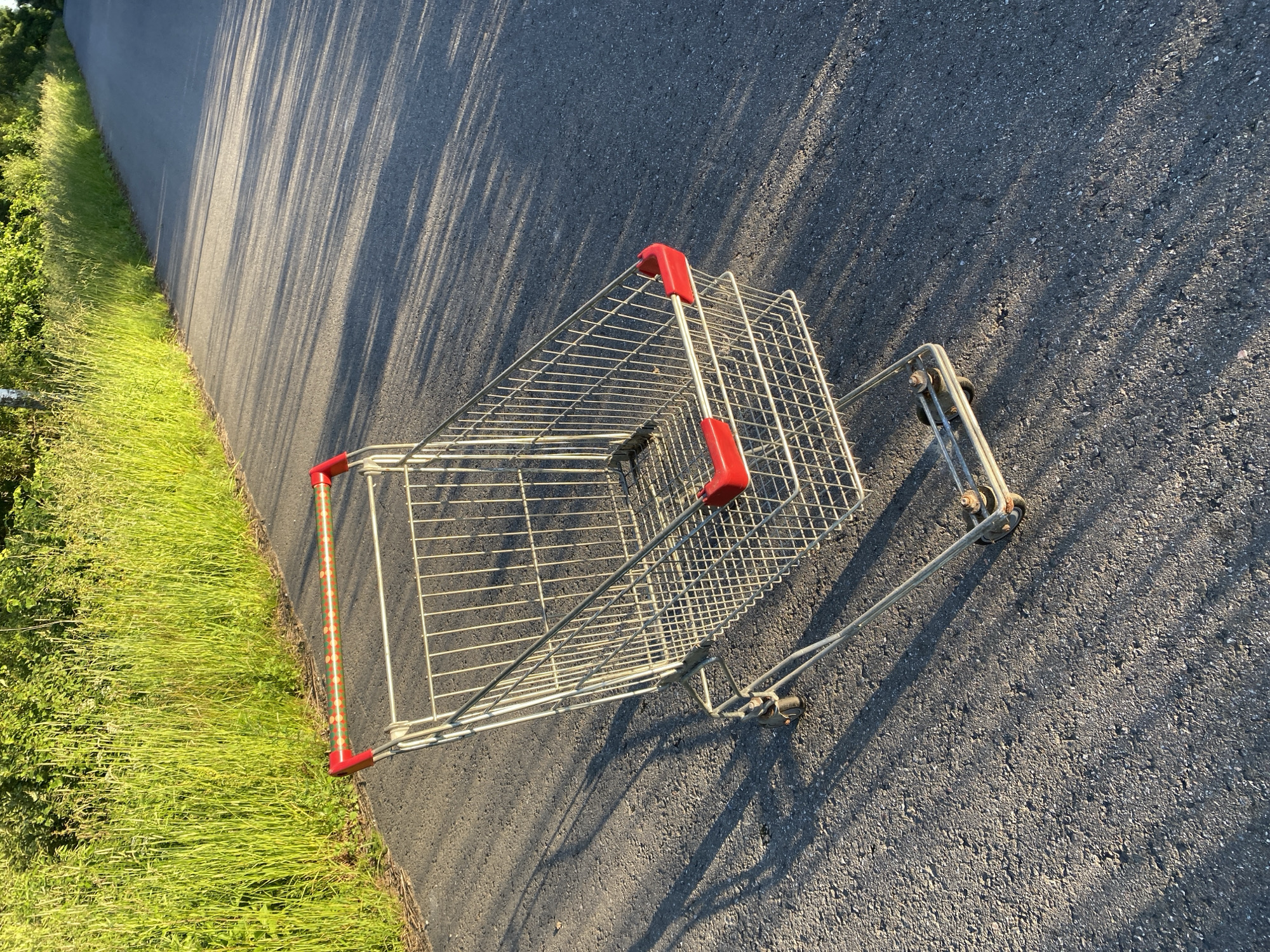 This media file shows a shopping cart lying on its side on an asphalt surface next to a grassy area. The shopping cart is made of metal wire and has red plastic handles. Its wheels are visible. Long shadows are cast across the asphalt, suggesting it is either early morning or late afternoon. The sun is shining, creating a bright, somewhat warm lighting effect. The grassy area appears lush and green, with some taller blades of grass. In the background, there is foliage, possibly trees or bushes. There is no visible text in the image. The scene appears to be outdoors in a quiet, possibly rural or suburban area, given the presence of the shopping cart and the natural elements. The activity taking place is none, as the shopping cart is stationary and abandoned. There are no people or animals visible. The overall mood is one of stillness and perhaps a touch of abandonment. The location context of Гостцы, Russia, adds a geographical detail to the setting.