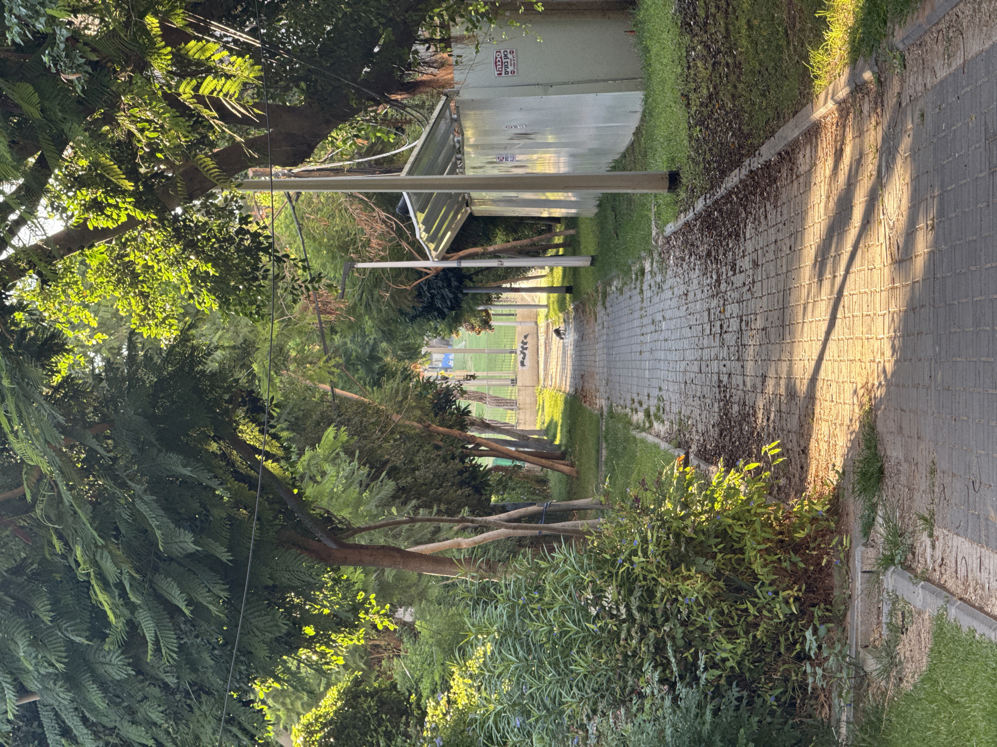 The image depicts a sun-dappled pathway in Bat Yam, Israel, bordered by lush greenery and trees. The pathway is paved with interlocking bricks, with scattered leaves and debris. To the right, a tall utility pole stands next to a metallic structure, possibly a shelter, with a corrugated roof. The structure has some graffiti on its side. Further down the path, a small, dark-colored cat is visible, walking away from the camera. The overall scene suggests a tranquil, outdoor setting within a residential or park area of the city.