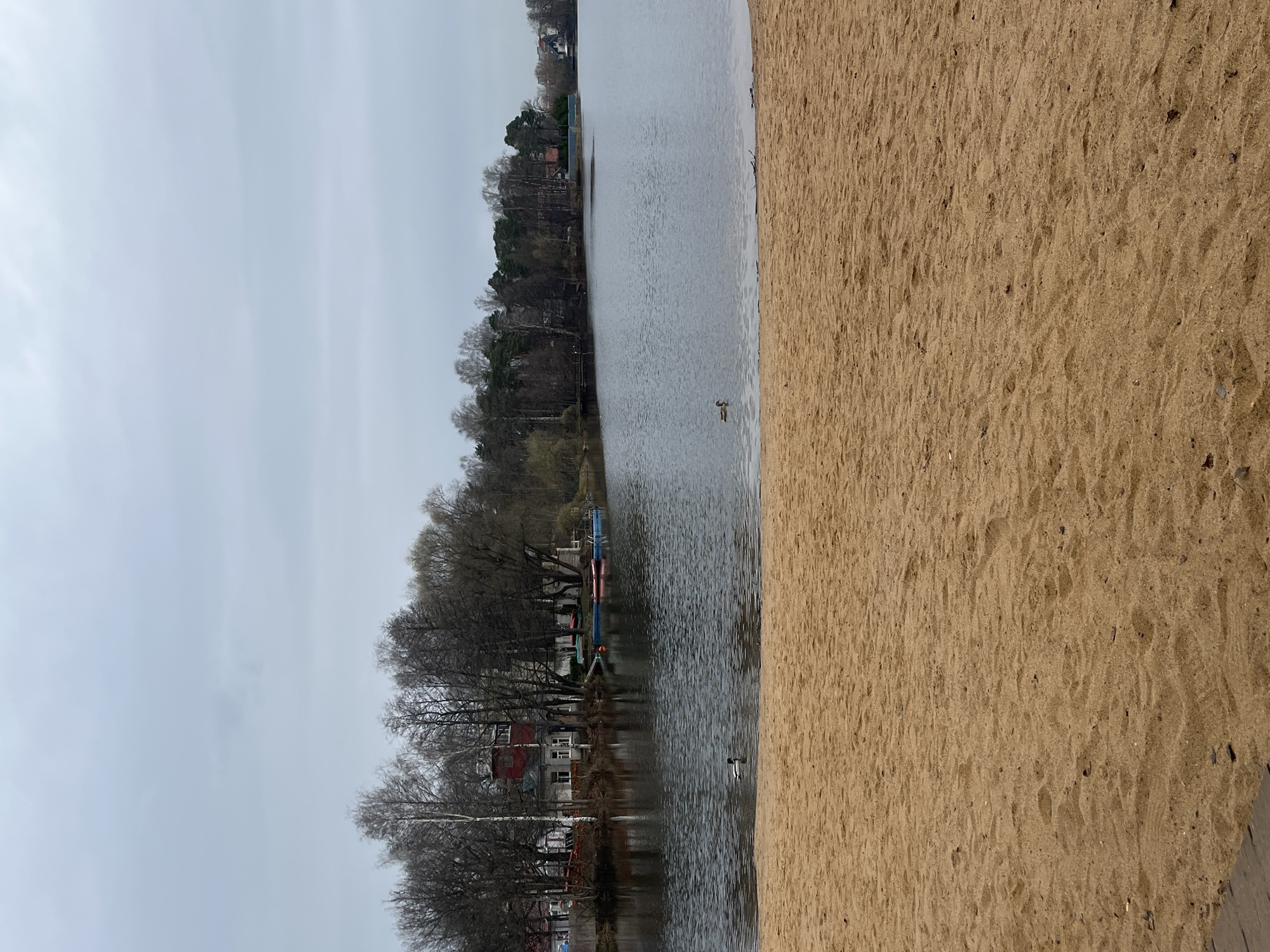 The image depicts a waterfront scene in Saint Petersburg, Russia. The view includes a body of water, likely a lake or river, bordered by a sandy beach on one side and trees and buildings on the other. The sky is overcast. There is a duck in the water. Several boats are docked near the shore. Some houses are on the opposite side.