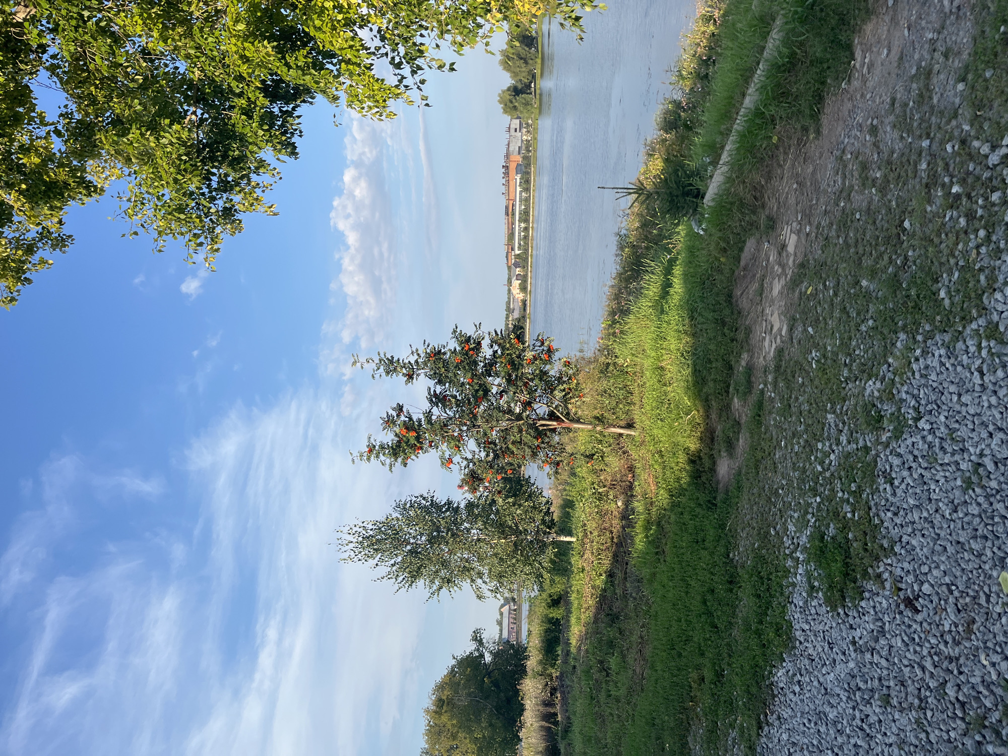 The image shows a natural landscape with a river and trees. The sky is blue with scattered clouds. In the foreground, there is a path made of gravel and grass. There are several trees on the bank of the river, some of which have red berries. In the distance, across the river, there is a large industrial building.
This image is likely taken in Blagoveshchensk, Russia, a city located on the Amur River, which forms the border between Russia and China. The industrial building in the distance could be a factory or a power plant, common features in such cities. The presence of trees and the river indicates a typical riverside scene in the region. No people are visible in the image.