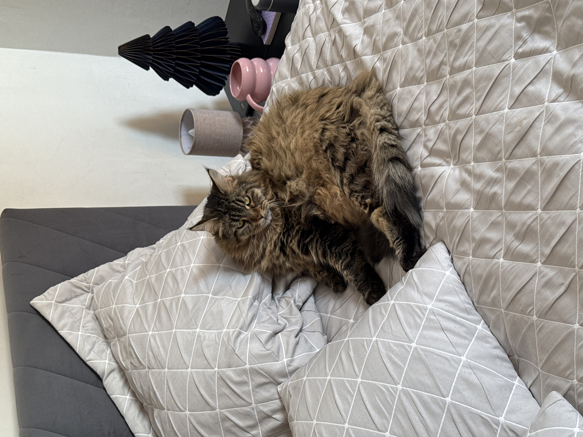 A long-haired brown tabby cat is lying on a gray bed with geometric patterned pillows and comforter. The cat is positioned towards the left side of the frame, with its head near the pillows and its body stretched towards the top right corner. Behind the bed is a wall with a black decorative paper Christmas tree and a pink mug on a shelf. A gray lamp is also visible on the shelf. The location is not identifiable from the image.