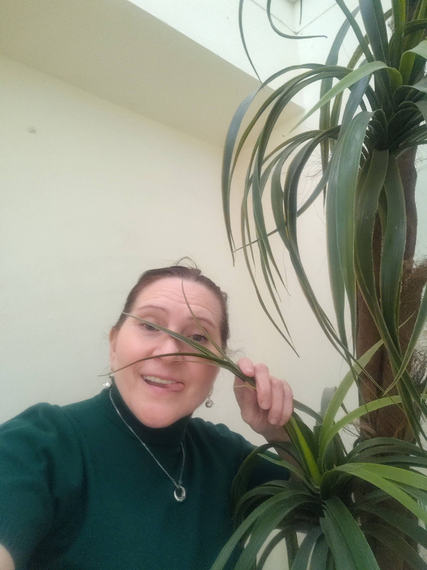 A person is holding a leaf from a palm-like houseplant up to their face. The person has medium-length hair pulled back, is wearing a dark green turtleneck sweater and a silver necklace with a circular pendant. They are indoors, against a plain, light-colored wall. The location in the city of Sarapul, Russia cannot be determined.
