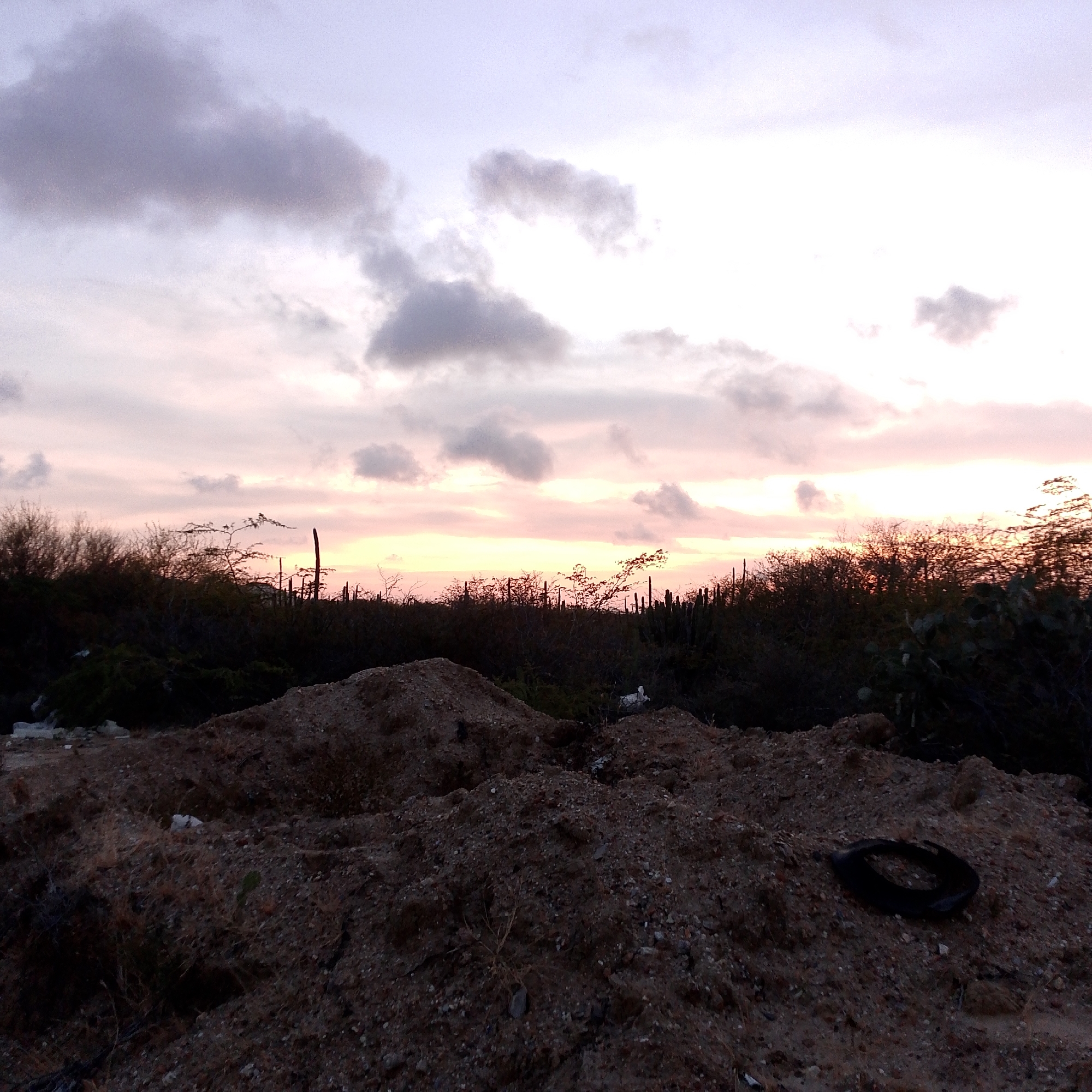 The image presents a landscape at dusk in what appears to be a rural or undeveloped area. The sky is a mix of light pink, white, and grey clouds, suggesting either sunset or sunrise. The horizon is defined by a dark silhouette of vegetation, possibly bushes and cacti, hinting at an arid or semi-arid environment.
In the foreground, there is a mound of dirt or gravel, indicative of recent construction or excavation activity. A discarded black tire is visible on the ground, suggesting potential littering or waste disposal in the area. The overall scene portrays a combination of natural elements and human impact.
Although Altagracia, Venezuela, is mentioned, there is no verifiable evidence within the image to confirm the location. The description is based solely on the visual information available.