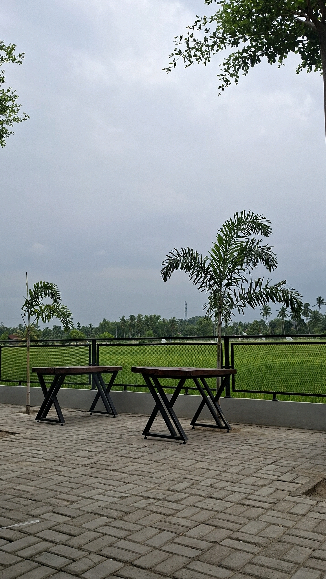 This image shows an outdoor seating area with two dark wooden tables with black metal legs. The tables are situated on a paved walkway made of grey rectangular bricks. Behind the tables, a black metal fence separates the seating area from a lush green rice field. Several palm trees are visible in the foreground and middle ground, with one taller palm tree to the right and a smaller one to the left. In the background, a dense line of trees, including coconut palms, stretches across the horizon, and a tall electrical pylon can be seen in the distance. The sky is overcast and grey, suggesting a cloudy day. The scene appears to be in Keudebayu, Indonesia, given the tropical vegetation and rice fields characteristic of the region. There are no people or animals visible in the image.