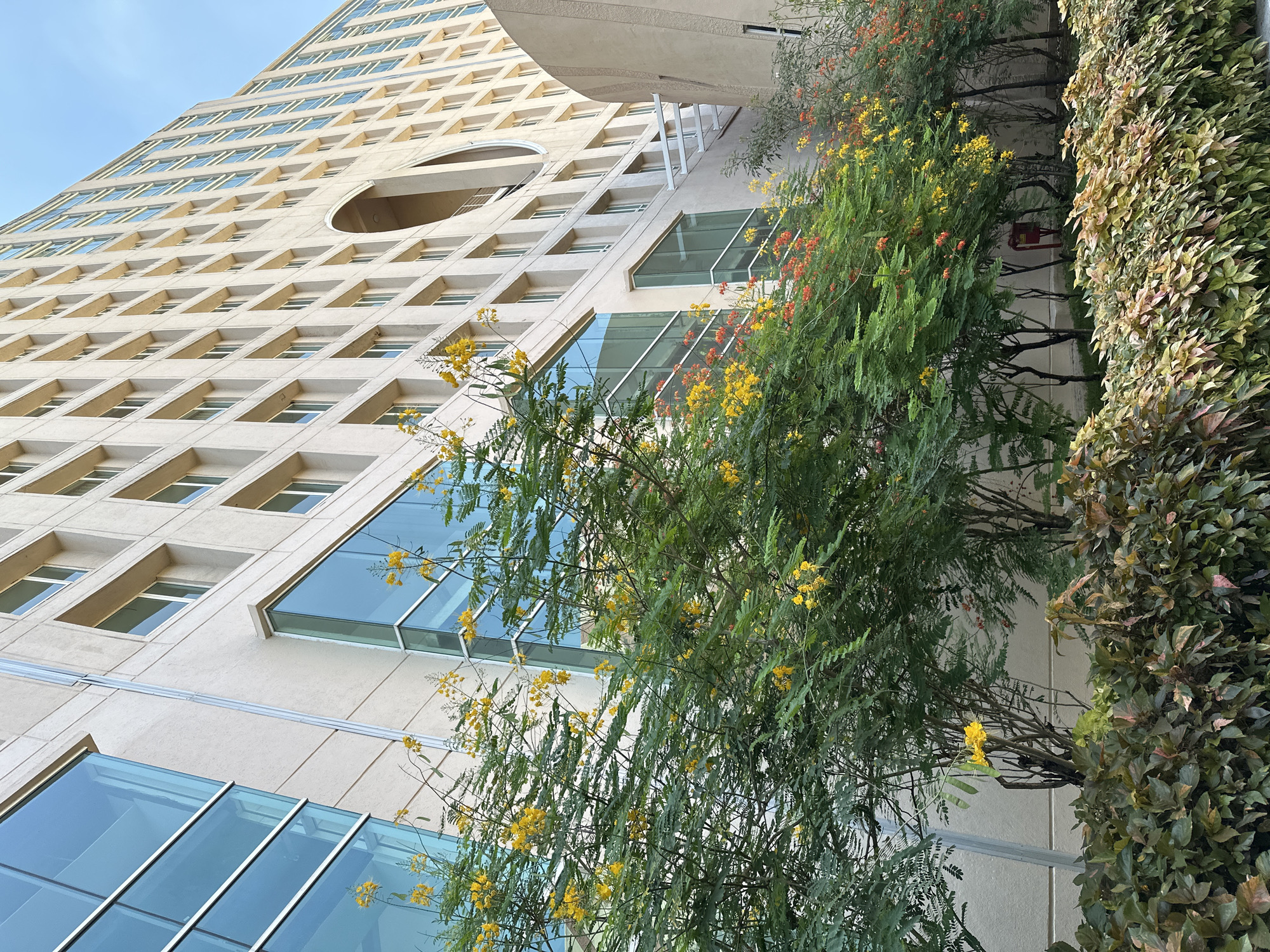 The image shows a tall, modern building with a unique design, featuring a grid-like pattern of windows and a large circular opening near the top. The building is light beige. Green plants and trees, some with yellow and red flowers, partially obscure the lower floors. The sky is visible in the upper left corner and is a light blue. It is a sunny day. The location in the city of Marunji, India is unknown.