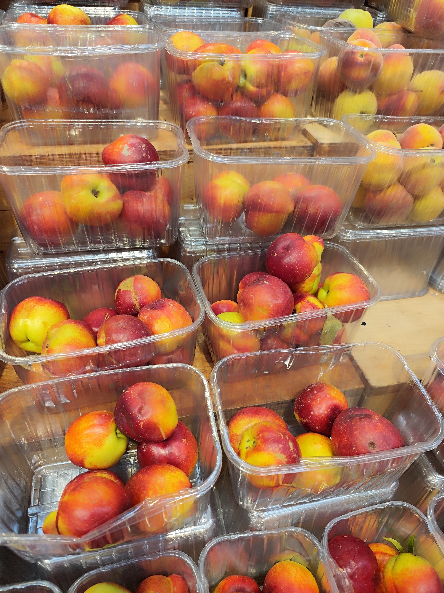 The image shows multiple clear plastic containers, each filled with several nectarines. The containers are arranged in rows, stacked on top of each other. The nectarines are mostly red and yellow, with variations in color distribution and intensity. The background appears to be a wooden surface. The location, Sarıyer, Turkey, is unknown from the image. No people are visible.