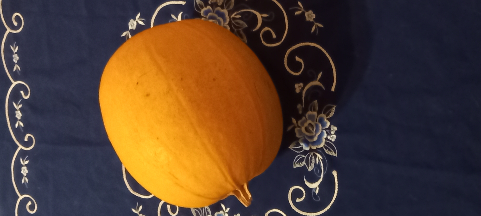 A single, intact, ovate squash, predominantly orange-yellow in color, rests horizontally on a dark blue textile surface. The squash exhibits distinct longitudinal ridges and minor dark specks on its surface, with a short, light-colored stem visible on its left end. The underlying textile, consistent with a tablecloth, is adorned with an intricate pattern of white curvilinear scrolls and stylized blue and white floral motifs, including multi-petaled blossoms and smaller decorative elements. The squash casts a faint shadow onto the textile, suggesting illumination from an overhead or upper-left light source. No human figures, animals, or active interactions are present in the frame. This scene is located in the city of Kryvyi Rih, Ukraine.