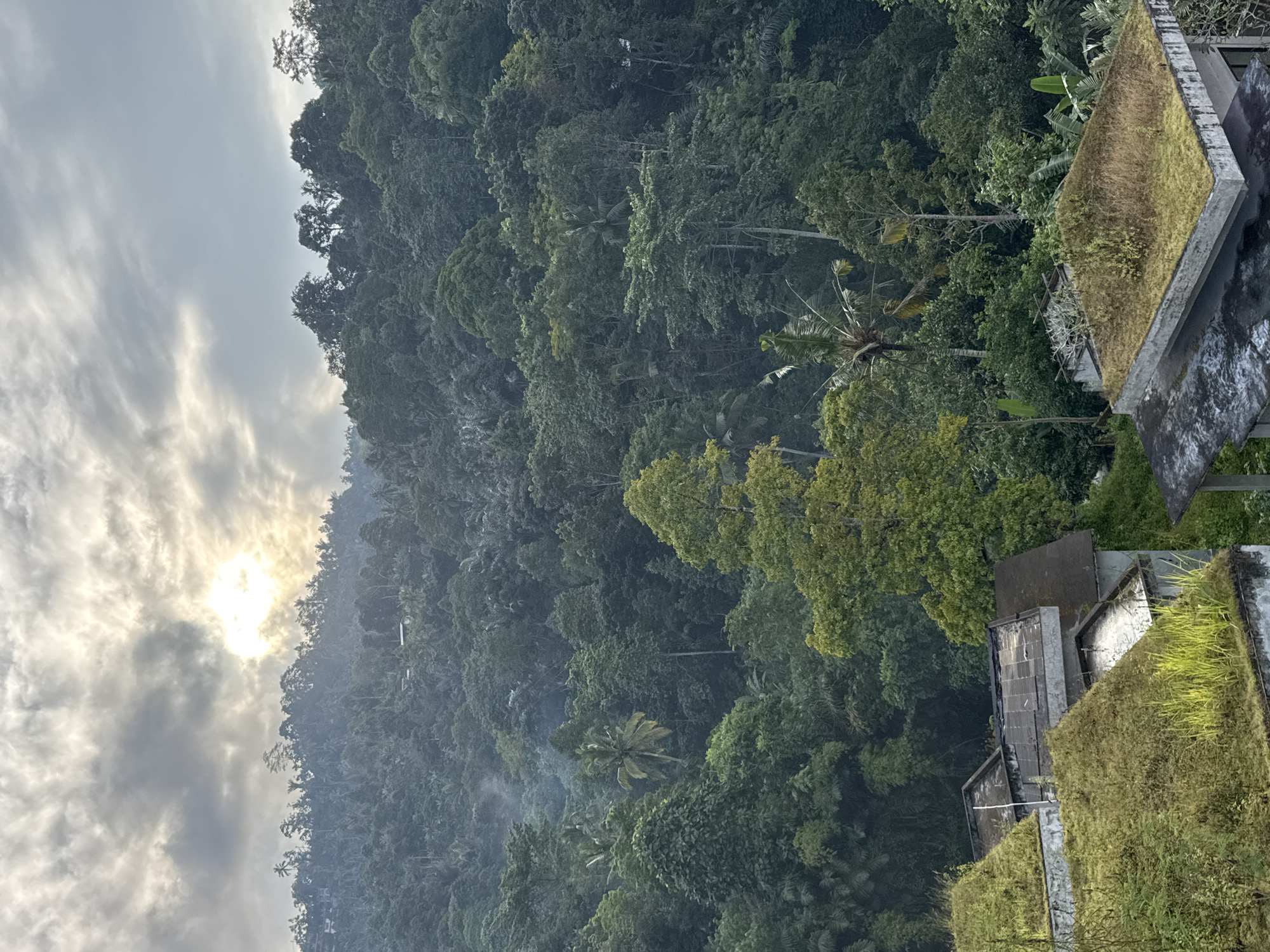 This image captures a lush, verdant landscape dominated by a dense tropical forest that climbs up a hilly terrain. The sky above is overcast with dramatic clouds, through which the sun is partially visible, casting a soft, diffused light over the scene. In the foreground, several flat-roofed buildings are partially visible, some of which are overgrown with moss and grass, suggesting they are either abandoned or designed with green roofs. The architecture appears to be concrete and utilitarian. The overall impression is one of a remote, natural setting, possibly on the outskirts of a settlement. The location is identified as Bebandem, Indonesia.