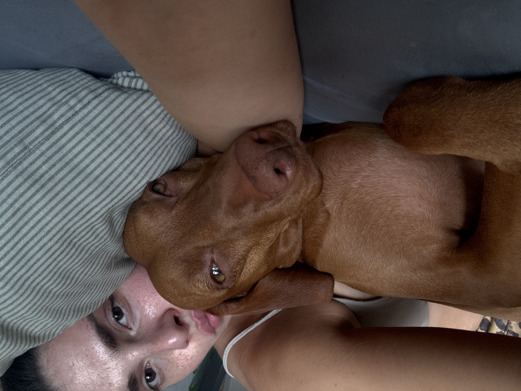 The image, taken from an overhead perspective and rotated ninety degrees clockwise from a standard portrait orientation, captures an intimate moment between a person and a dog. The scene appears to be set indoors, likely on a bed or sofa.
The person, visible in the lower left portion of the image (when viewed upright), is a woman with dark hair and light skin. Her face, featuring dark eyes, a nose, and slightly parted lips, is turned towards the camera. She rests her head on a light grey pillow or blanket adorned with thin, dark stripes. A white strap, likely from a camisole or tank top, is visible on her shoulder. Her expression is neutral, suggesting comfort.
Snuggled closely beside and slightly above the person's head is a dog, appearing to be a Vizsla due to its distinctive short, reddish-brown coat. The dog's head, including its snout, pink nose, and one expressive amber eye, is clearly visible. Its ear is flattened, indicating a relaxed state. Part of the dog's body, covered in its smooth, uniform brown fur, lies across the person's torso/shoulder. A solid grey fabric, possibly another blanket or sheet, is visible behind the dog's back. In the bottom right corner of the original image, a subtle pattern resembling leopard print is faintly discernible.
The overall atmosphere of the image is one of peaceful companionship and warmth, with both subjects appearing content in their shared moment of rest. There is no visible text.