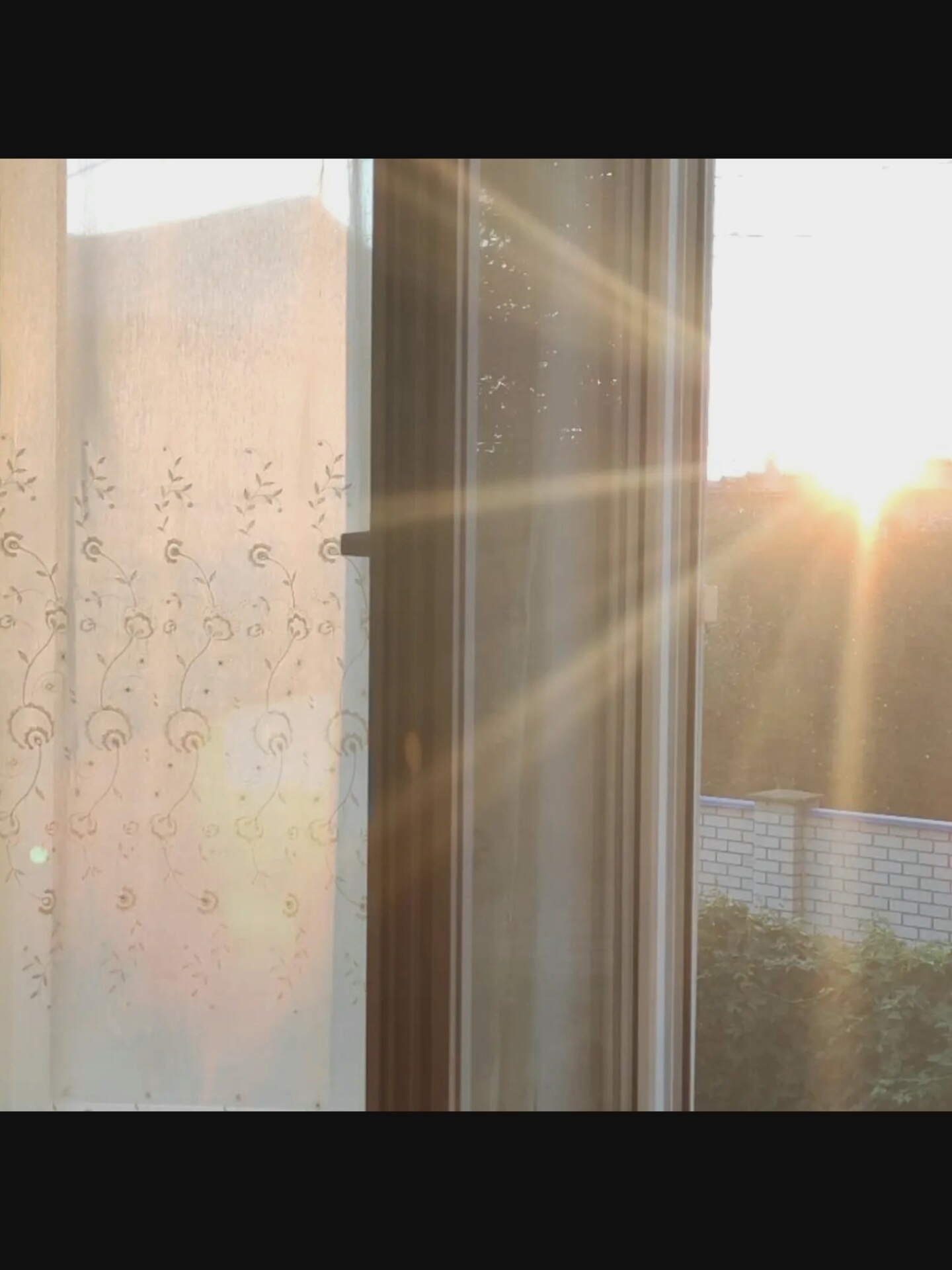 The image captures a sunlit view through a window, revealing a translucent curtain with a floral pattern on the left. The sunlight streams in from the right, creating visible rays and illuminating dust particles in the air. Outside the window, greenery and a brick fence are visible, bathed in the warm glow of the setting or rising sun. The scene appears to be an interior looking outwards, suggesting a residential or perhaps office space. There are no people or any explicit signs of New York City.