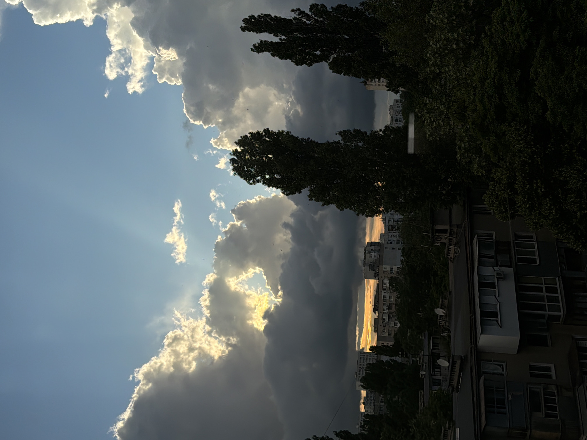 The image captures an urban landscape under a dramatic, heavily clouded sky, likely during sunset or sunrise, in the city of Unknown, Unknown. The upper half of the frame is dominated by a complex cloud formation, featuring large, dark gray clouds juxtaposed with intensely bright, golden-white clouds where sunlight penetrates through gaps, creating visible rays. Multiple small dark specks, identified as birds, are discernible against the brighter sky and clouds.
The mid-ground reveals a sprawling urban environment composed of numerous multi-story residential buildings, likely apartment blocks, with a utilitarian architectural style characterized by repetitive windows and balconies. A distinct horizontal band of warm, orange-yellow light, indicative of the low sun, is visible on the horizon line between the buildings.
The foreground and parts of the mid-ground are densely vegetated with tall, dark green trees and foliage. Two particularly tall, slender trees, possibly poplars, are prominently silhouetted against the sky in the center-left and right-center portions of the image. The lower foreground includes the dark, shadowed rooftop of an apartment building, upon which multiple satellite dishes and air conditioning units are visible. No human figures are present in the scene. The lighting creates a high-contrast environment, with bright sky elements and deeply shadowed ground-level objects.