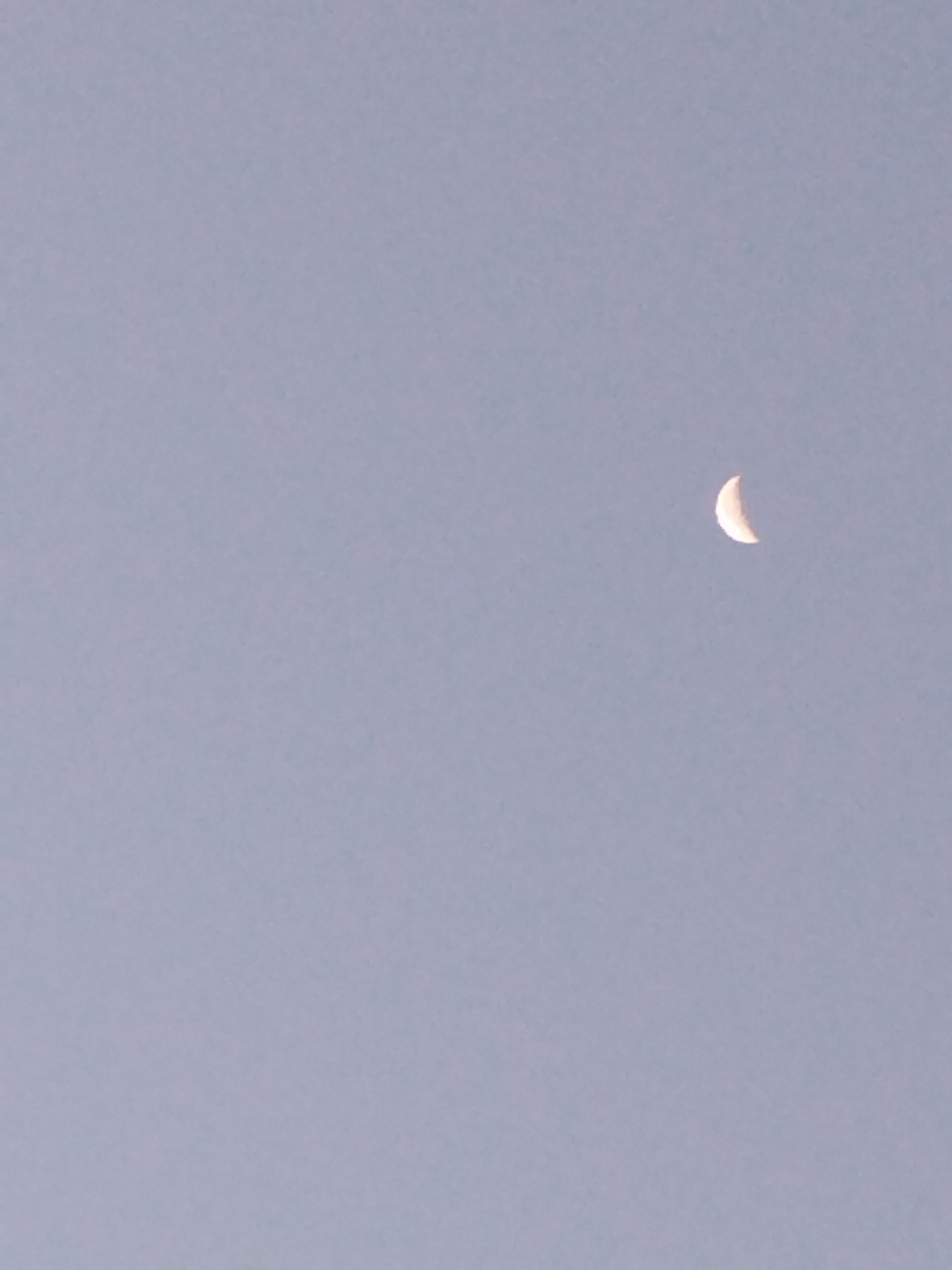 The image shows a crescent moon in a pale, overcast sky. The moon is a thin sliver of white with a slight yellowish tint, positioned in the upper right quadrant of the frame. The sky is a uniform, muted gray-blue, suggesting either dawn, dusk, or cloudy conditions. There are no other discernible objects or features in the sky or on the ground. The image appears to have been taken from an outdoor location, possibly in Ustyvytsia, Ukraine, though no specific geographical markers are visible.