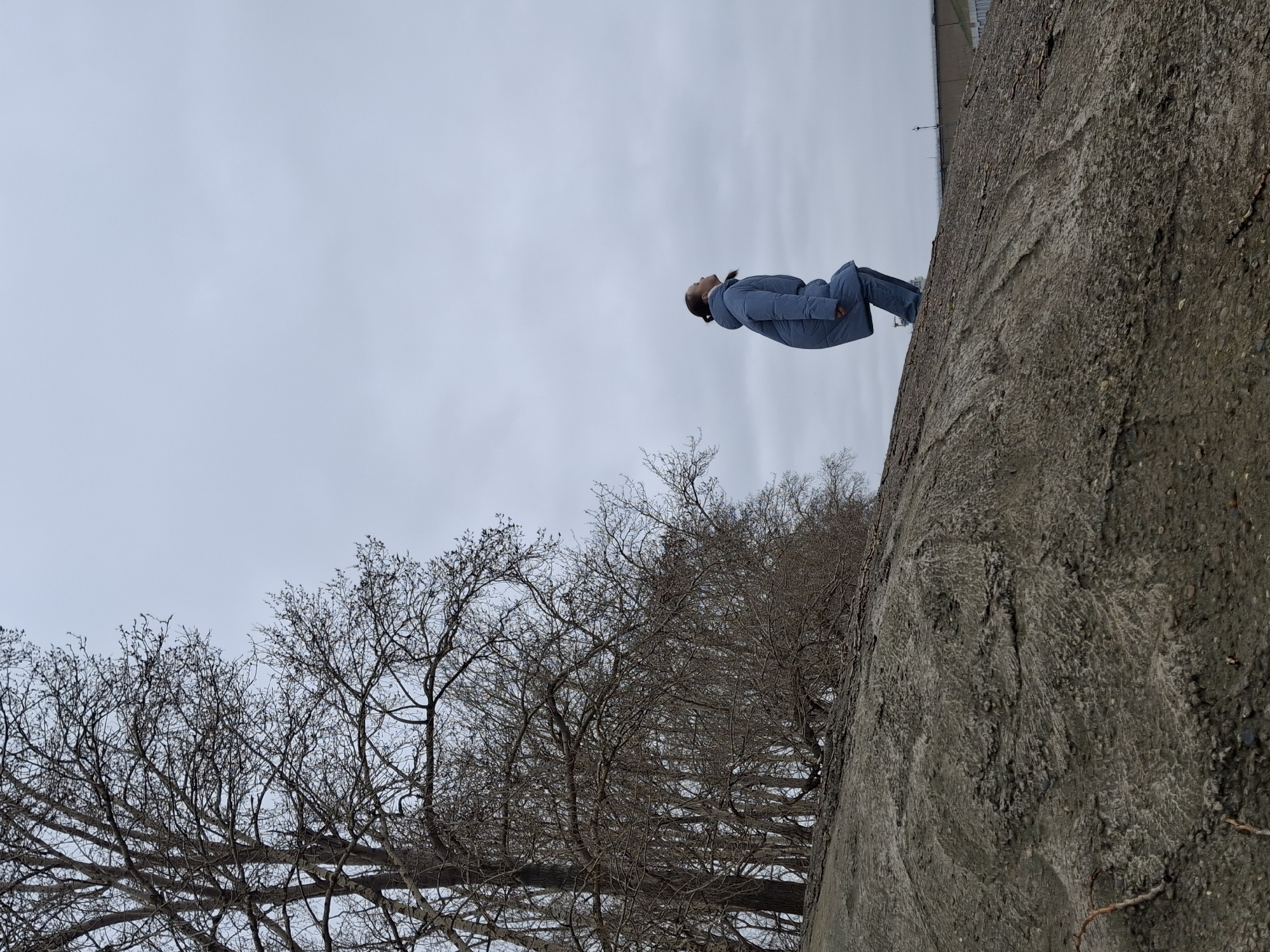 The image portrays an outdoor scene featuring an individual standing on a large, textured concrete or stone structure under an overcast sky. The person, dressed in a light blue or grey padded winter jacket and trousers, is positioned on the upper right side of the frame, looking upwards towards the sky. Their hair is pulled back.
The substantial concrete structure, possibly a retaining wall, embankment, or bridge support, occupies a significant portion of the right side, displaying a rugged, coarse texture with visible aggregate. In the distance, at the very top of this structure, faint architectural lines suggest another larger construction, perhaps a building or bridge.
On the left and across the bottom of the image, a dense canopy of bare tree branches without leaves indicates a cold season, such as late autumn, winter, or early spring. The intricate patterns of the leafless branches contrast against the uniformly pale, featureless sky, which provides soft, diffuse lighting across the scene.
The atmosphere appears quiet and contemplative, with the individual seemingly observing the overcast sky. There are no other people or distinct objects in view, and no discernible text is present. The overall impression is one of a stark, natural-urban environment during a cool, grey day.