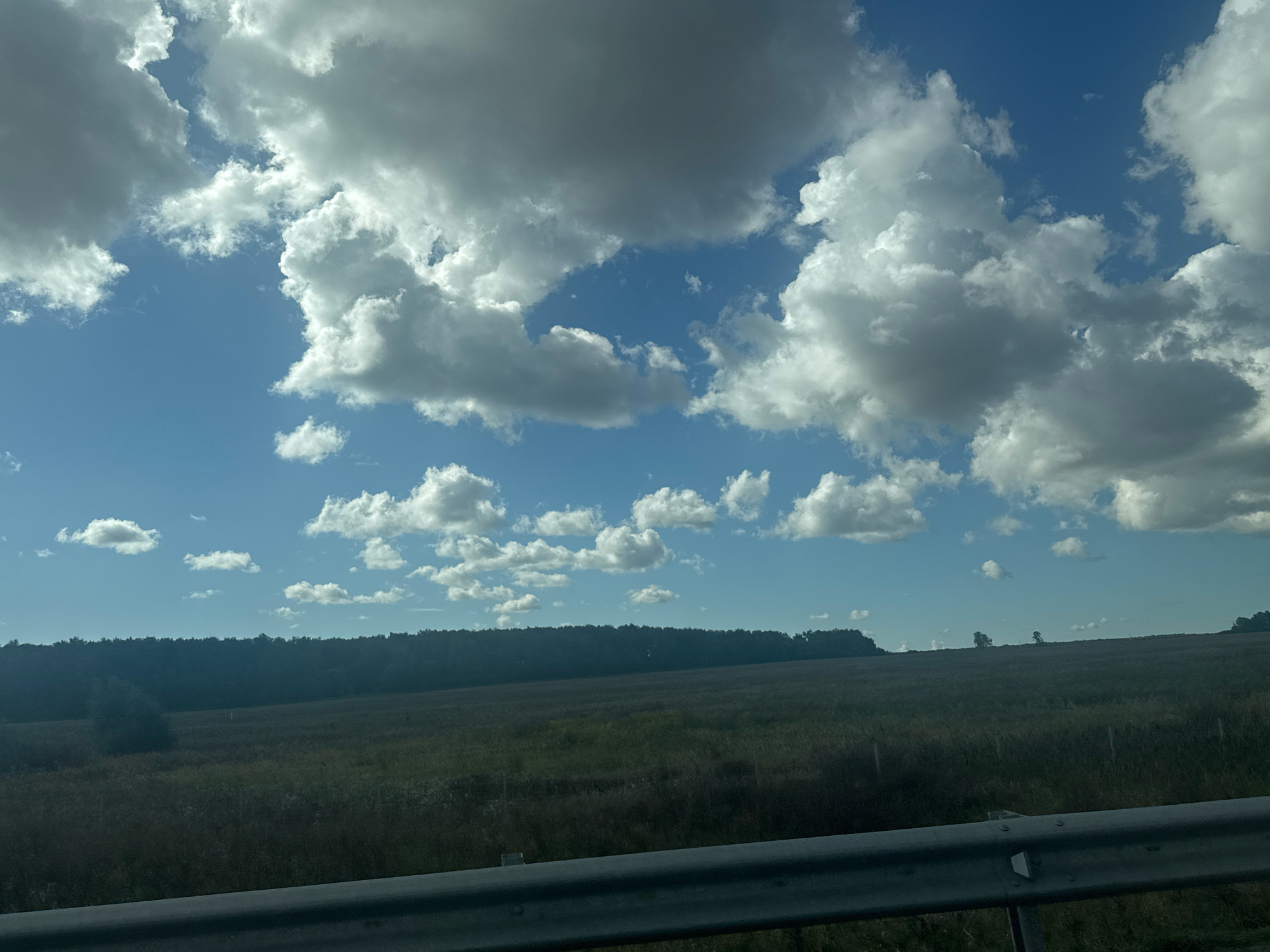 The image depicts a rural landscape under a partially cloudy sky. In the foreground, a metallic guardrail runs horizontally across the bottom of the frame. Beyond the guardrail, a field of tall grass and vegetation stretches towards a dark, silhouetted tree line in the middle ground. The sky above is a vibrant blue, dotted with numerous fluffy white and grey clouds, some of which are large and dramatic. The scene appears to be a view from a moving vehicle, given the slight blur and the presence of the guardrail. The location is identified as Stepanshchino, Russia. There are no people or animals visible in the image.