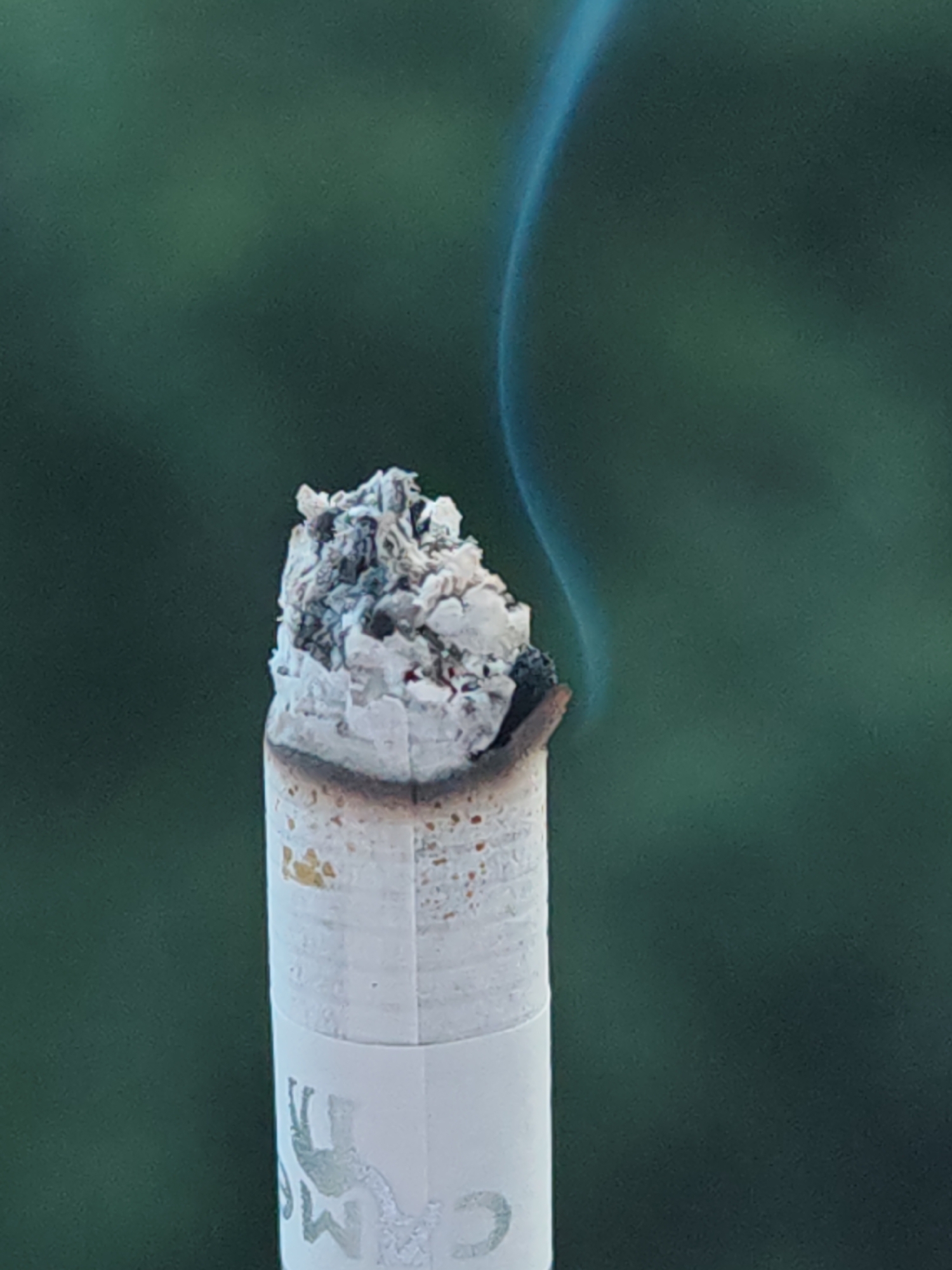 This close-up photograph, taken in Shumen, Bulgaria, captures a single, vertically oriented, partially consumed cigarette. The top portion of the cigarette displays an irregular accumulation of light grey and white ash, intermingled with dark charred fragments, indicating an active burn. A slender, translucent plume of blue-tinted smoke curves upwards from the burning tip. Below the ash, the cigarette paper exhibits browning and discoloration from combustion, transitioning to a clean white section. On this white section, a light-colored logo depicting a camel and partial text, consistent with the "Camel" brand, is faintly visible. The background is uniformly blurred to a deep, muted green, suggestive of distant foliage or an outdoor setting. No individuals or other objects are present in the frame.