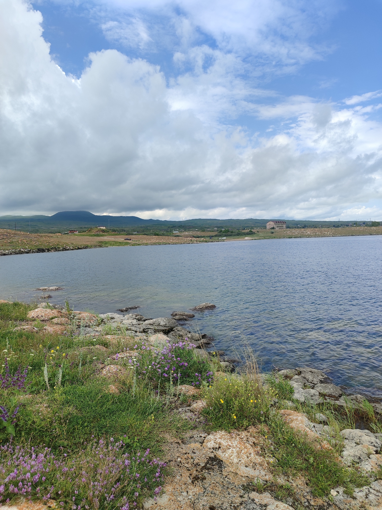 The image depicts a landscape scene, likely a body of water with a rocky, grassy shoreline in Berdkunk, Armenia. The foreground is dominated by the shoreline, characterized by large, light-colored rocks interspersed with green grass and clusters of small purple and yellow wildflowers. The water of a lake or reservoir stretches across the middle ground, appearing calm with subtle ripples on its surface. In the background, a gently rolling landscape of dry, brownish-green hills leads to a distant mountain under a cloudy sky. A multi-story building with a distinctive A-frame roofline is visible on the far bank of the water, along with some smaller structures and a road. The sky is a mixture of blue patches and heavy, gray clouds, suggesting a partly cloudy or overcast day. No people or animals are visible in the image.