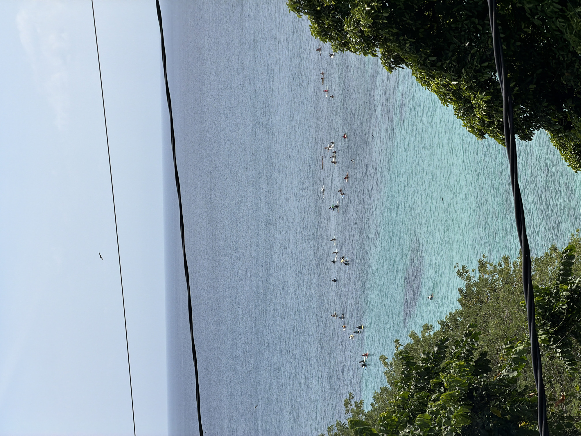 The image shows a view of a coastline with clear turquoise water, possibly in Kuta Selatan, Indonesia. People appear to be paddleboarding or kayaking in the water, scattered along the coast. Lush green vegetation covers the land along the shore. There are power lines in the foreground. A bird is flying in the distance.