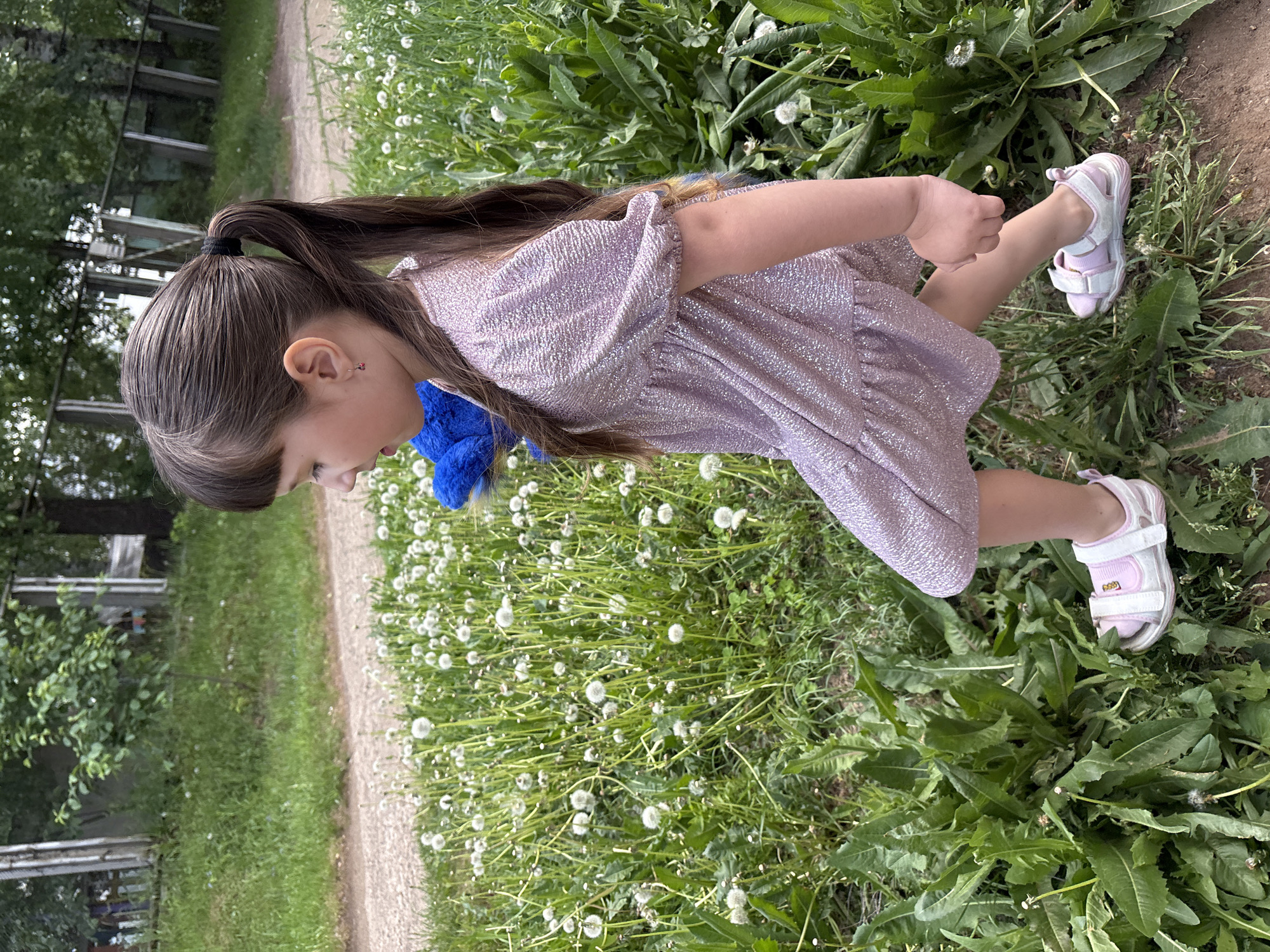 A young girl stands in a field of dandelions in Chaikovsky, Russia. She has brown hair pulled back into a ponytail and wears a sparkly lavender dress and pink and white sandals. A blue stuffed animal is attached to her dress near her back. The area appears to be a park or grassy area near a building with metal structures. A dirt path is visible near the dandelions. The day appears to be bright and overcast.