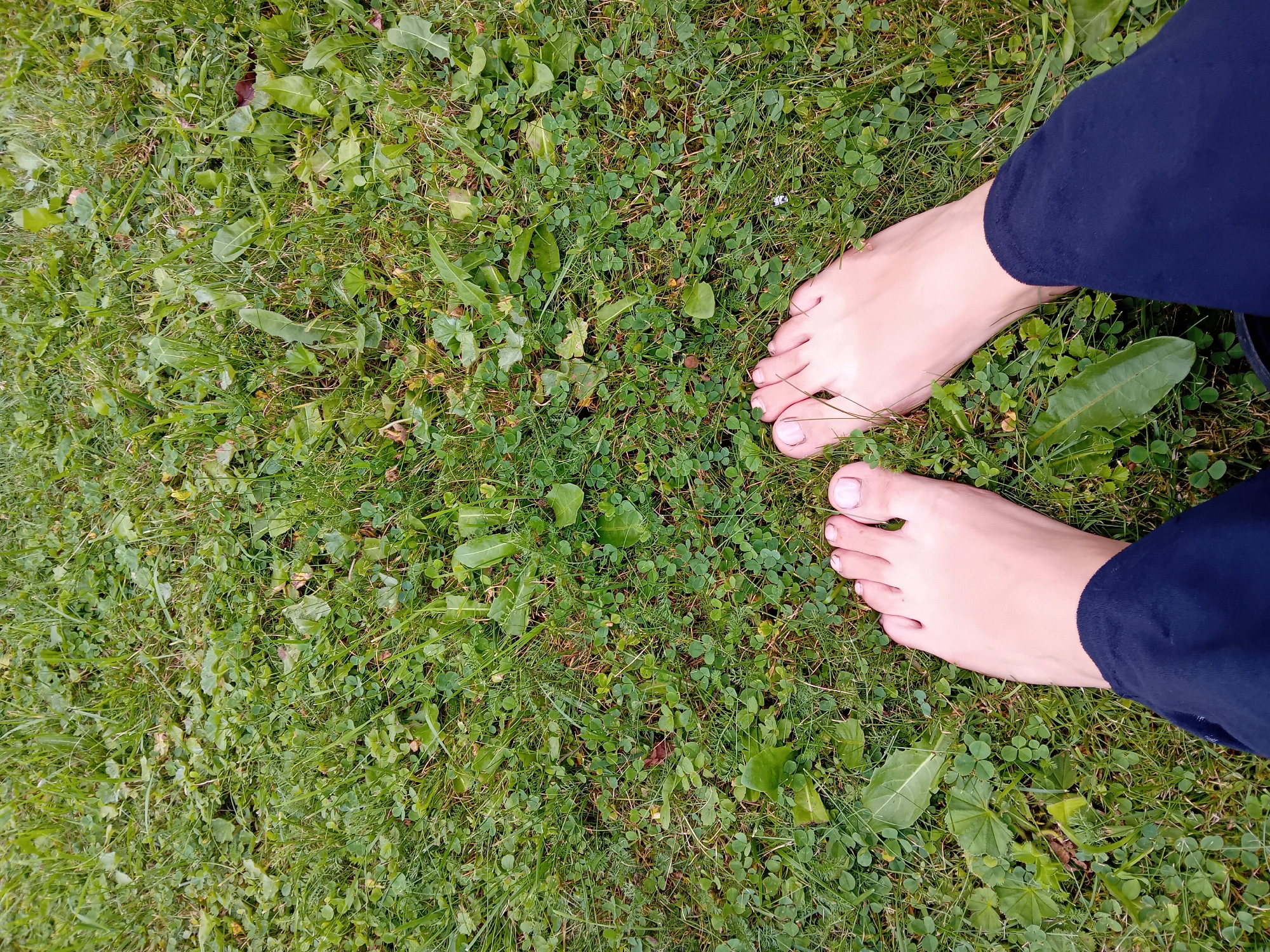 A close-up, top-down view of two bare feet, with light skin tone, standing on a patch of green grass. The feet are positioned at the bottom center of the frame, with the toes facing forward and slightly apart. The toenails are unpainted. The surrounding area is covered in a dense, low-lying ground cover of clover and grass, with some scattered blades of taller grass and occasional dandelion leaves. The lighting suggests an outdoor setting. The location is identified as Zuberec, Slovakia, implying an outdoor, possibly natural or park-like environment within the town. The image captures a moment of connection with the natural ground.