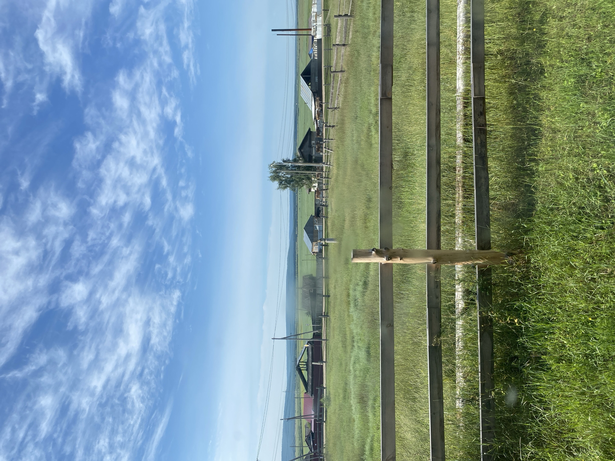 The image depicts a rural landscape in the village of Betuntsy, Russia, under a partly cloudy sky. In the foreground, a wooden fence runs horizontally across the frame, with tall green grass growing on either side. Beyond the fence, a grassy field stretches towards a cluster of wooden houses and other structures. Power lines and poles are visible in the middle ground, running parallel to the fence. In the background, a line of trees and rolling hills can be seen under the expansive blue sky. A few cows are scattered throughout the field. The overall scene conveys a sense of a tranquil, rural setting.