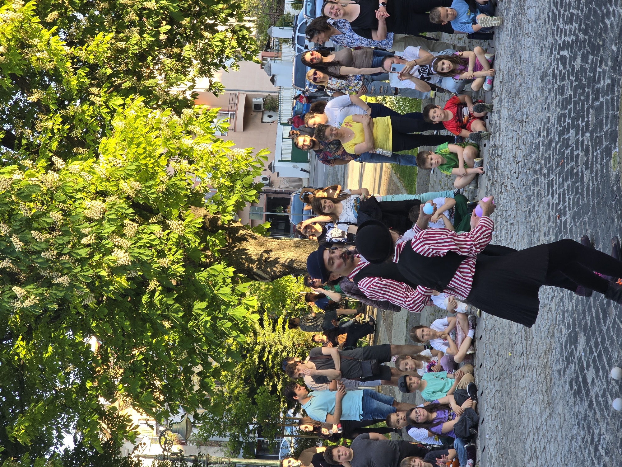 A vertically oriented image shows a crowd of people gathered on a cobblestone street, watching a performer. The performer is wearing a red and white striped shirt, a black vest, black leggings, and a black cap. They appear to be juggling or manipulating objects. A tree with dense green leaves and white blossoms looms over part of the crowd on the left side of the image. The people are of various ages and wear diverse clothing. Some are standing, and others are sitting on the cobblestone. Buildings are visible in the background beyond the crowd.